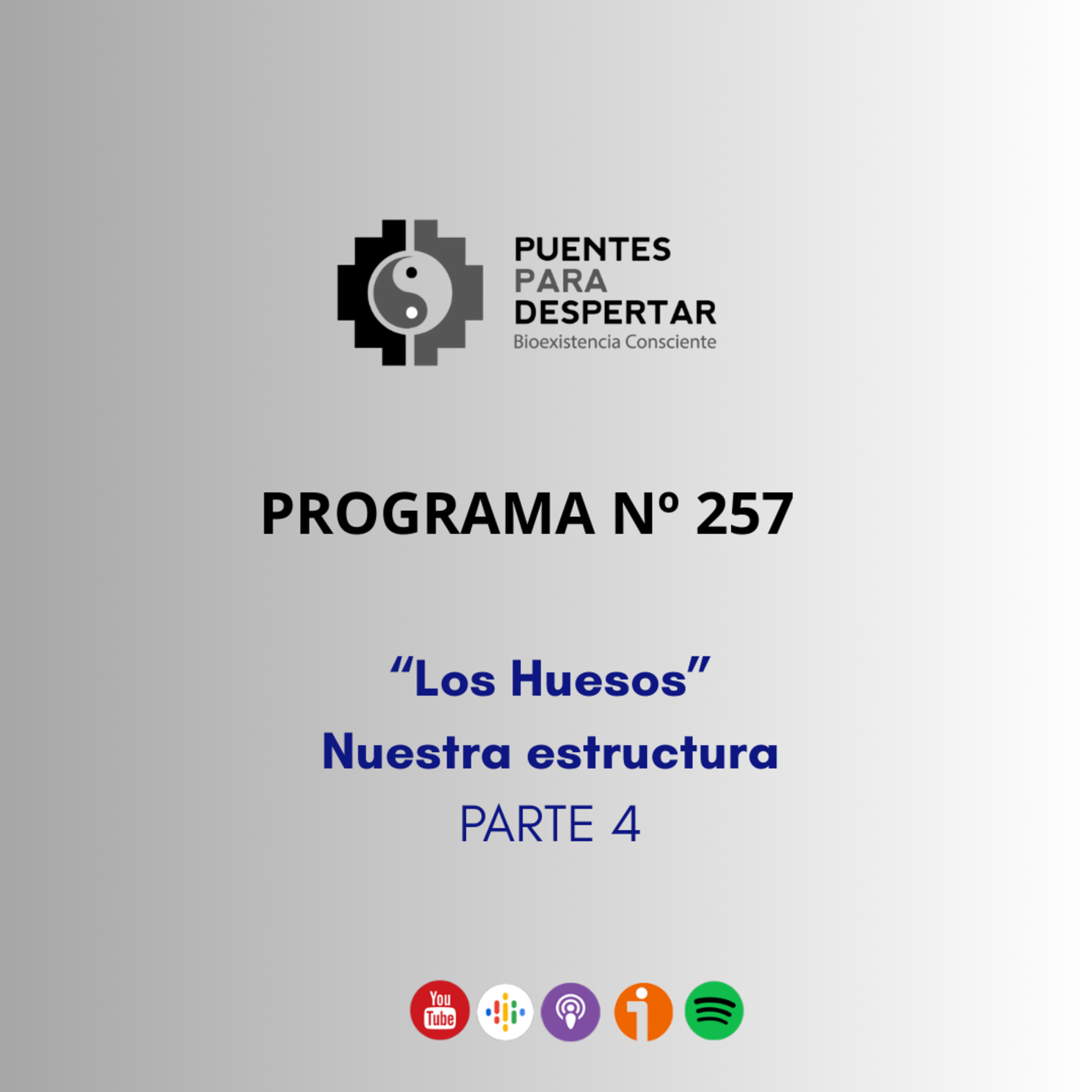 Programa N°257 de Puentes para Despertar, "Los Huesos Nuestra Estructura, Parte 4".  episode artwork