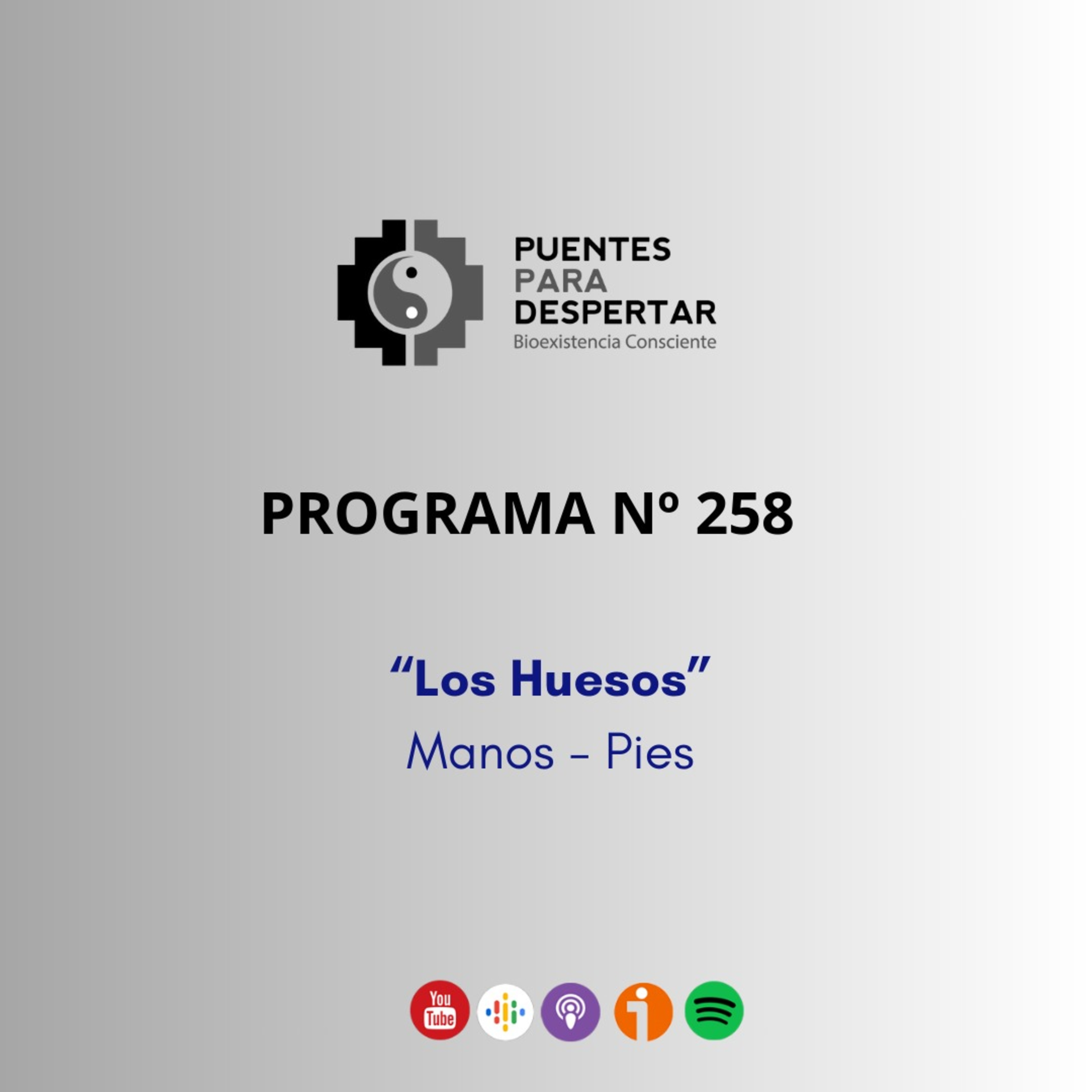 Programa N° 258 de Puentes para Despertar, "Huesos de las Manos y Pies"  episode artwork