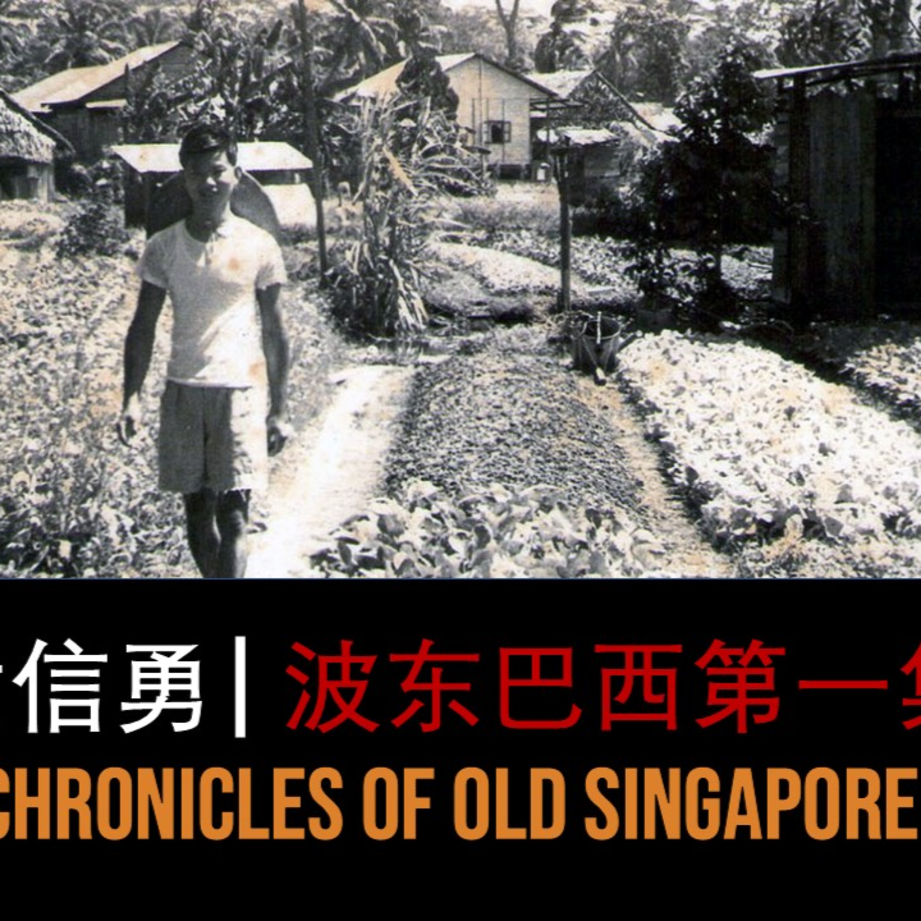 黄信勇 – 甘榜波东巴西第一集 | 旧新加坡记事录 Wong San Yong – Kampong Potong Pasir Part 1 | Chronicles of Old Singapore