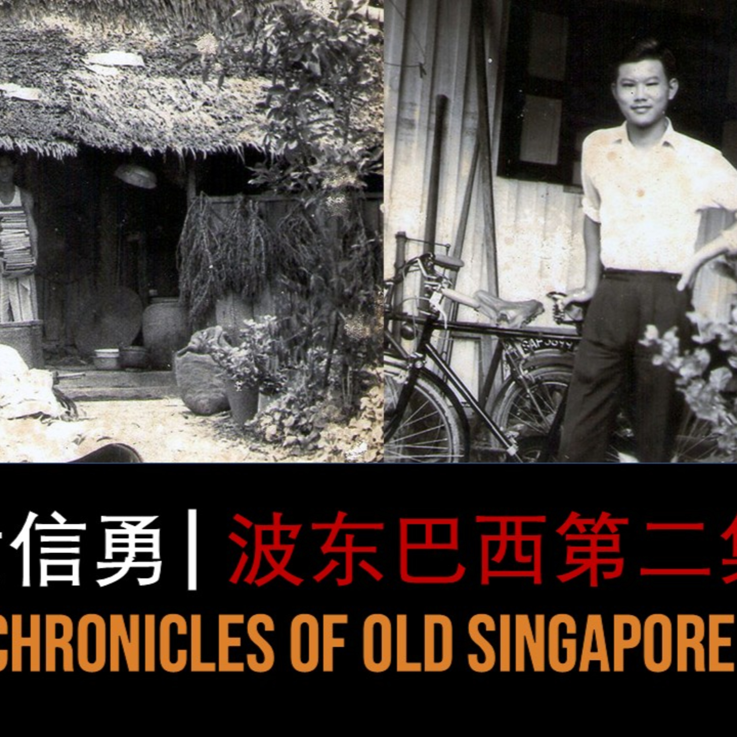 黄信勇 – 甘榜波东巴西第二集 | 旧新加坡记事录 Wong San Yong – Kampong Potong Pasir Part 2 | Chronicles of Old Singapore