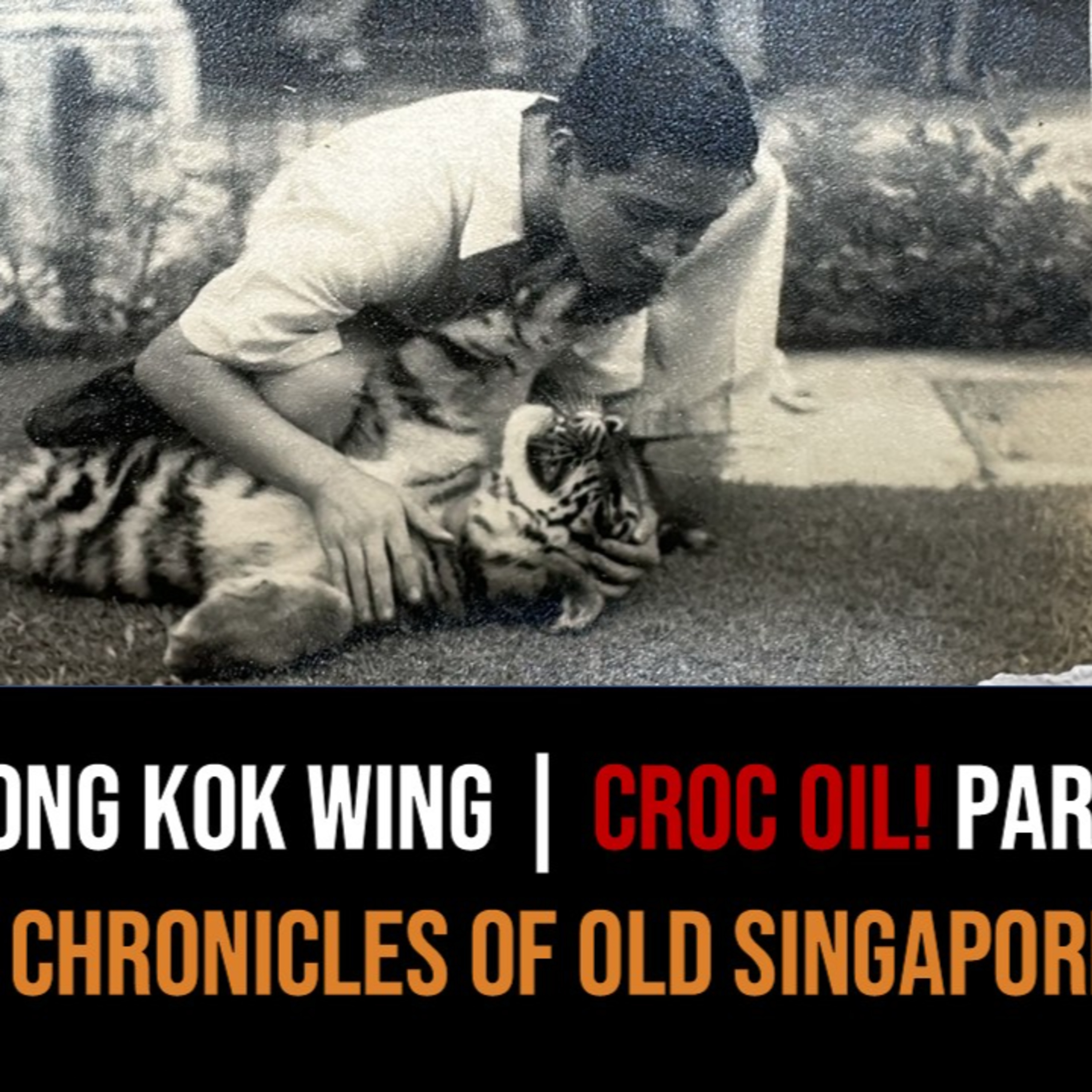 Tong Kok Wing – 110 Years of Chop Wah On in Chinatown Part 1 | Chronicles of Old Singapore episode artwork