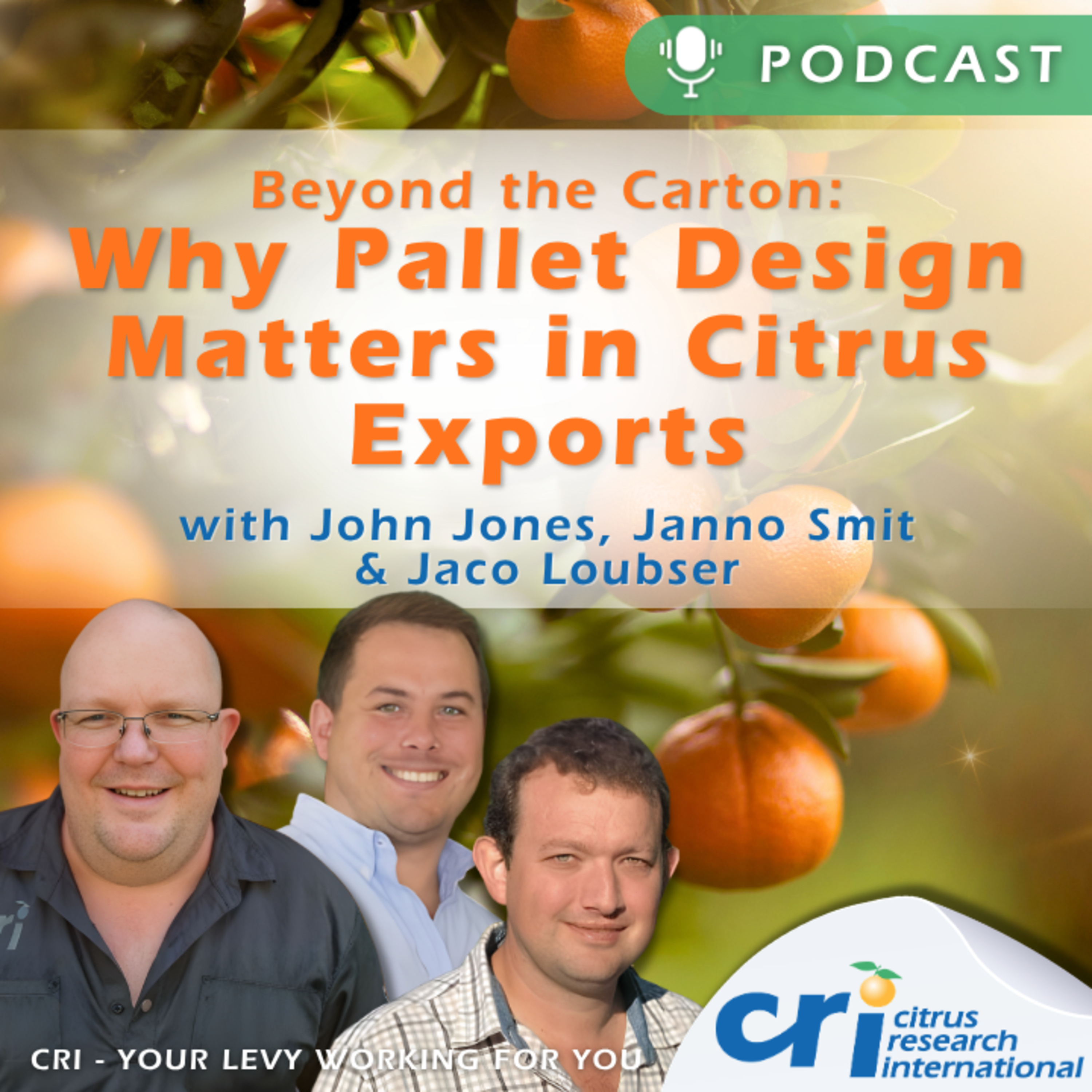 Why Pallet Design Matters in Citrus Exports – John Jones, Janno Smit & Jaco Loubser [2026, June]