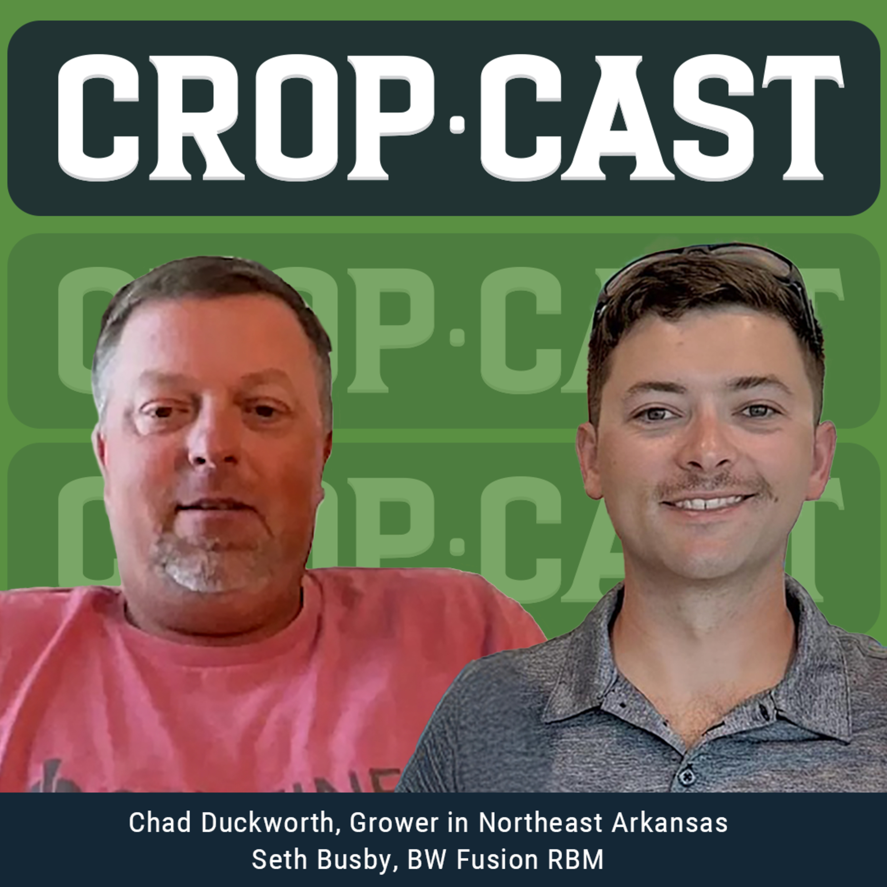 #39: Growing Rice In The Delta with Arkansas Grower Chad Duckworth episode artwork