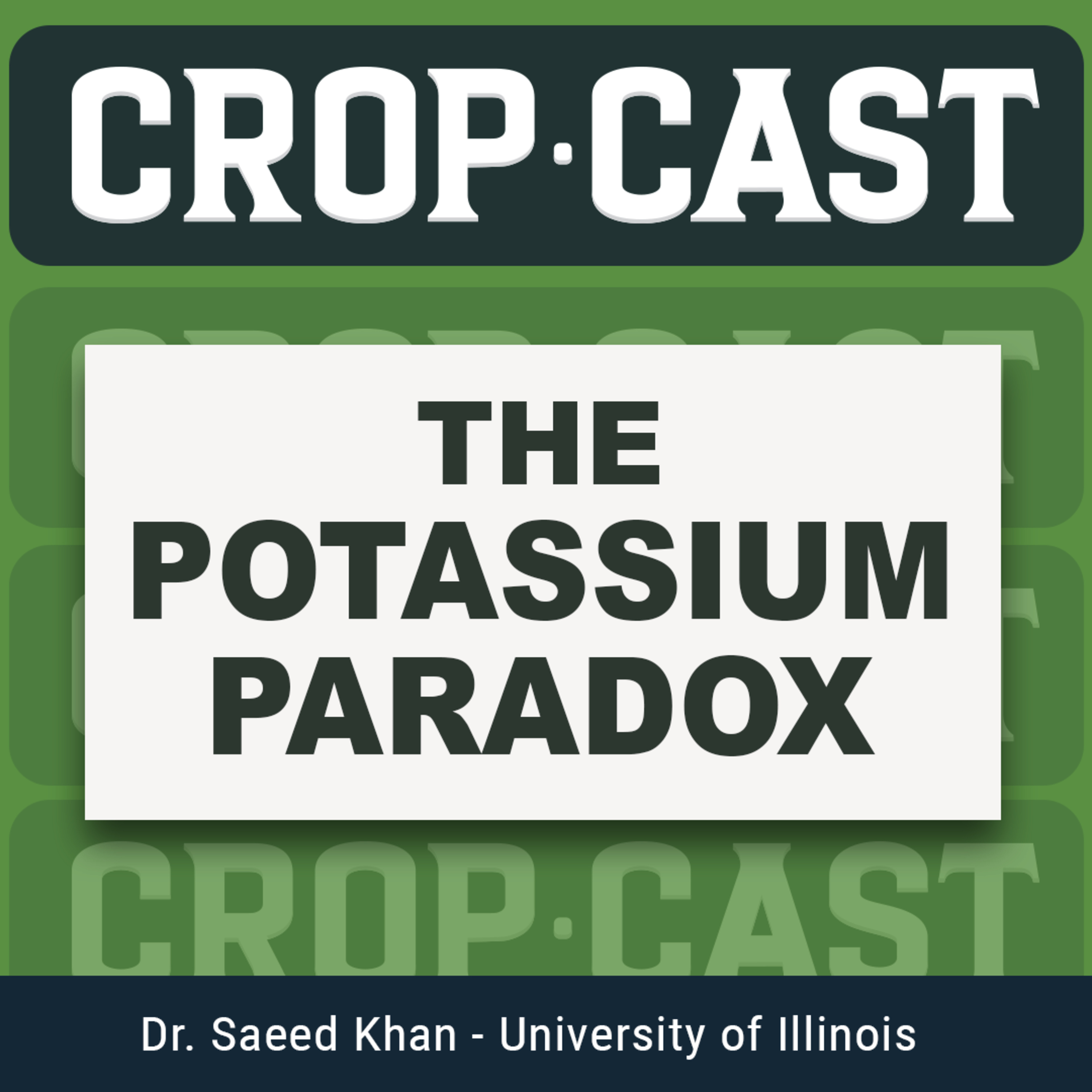 #43: The Potassium Paradox with Dr. S.A. Khan at University of Illinois episode artwork