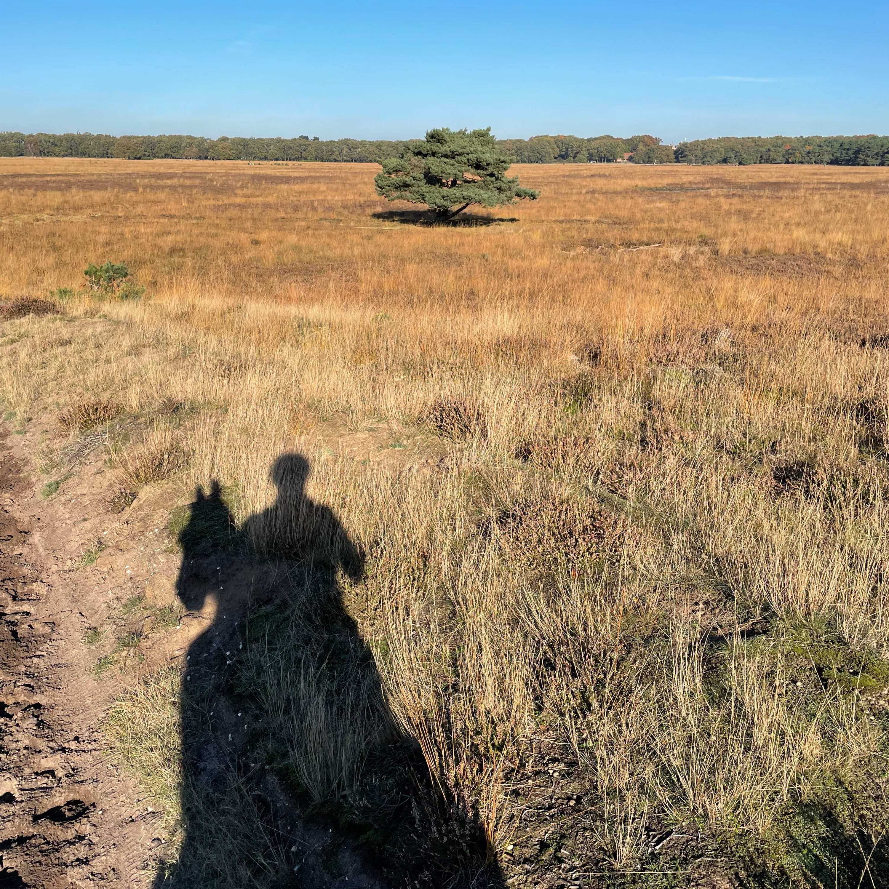 De Libertaire Podcast - La Guerre des Idées