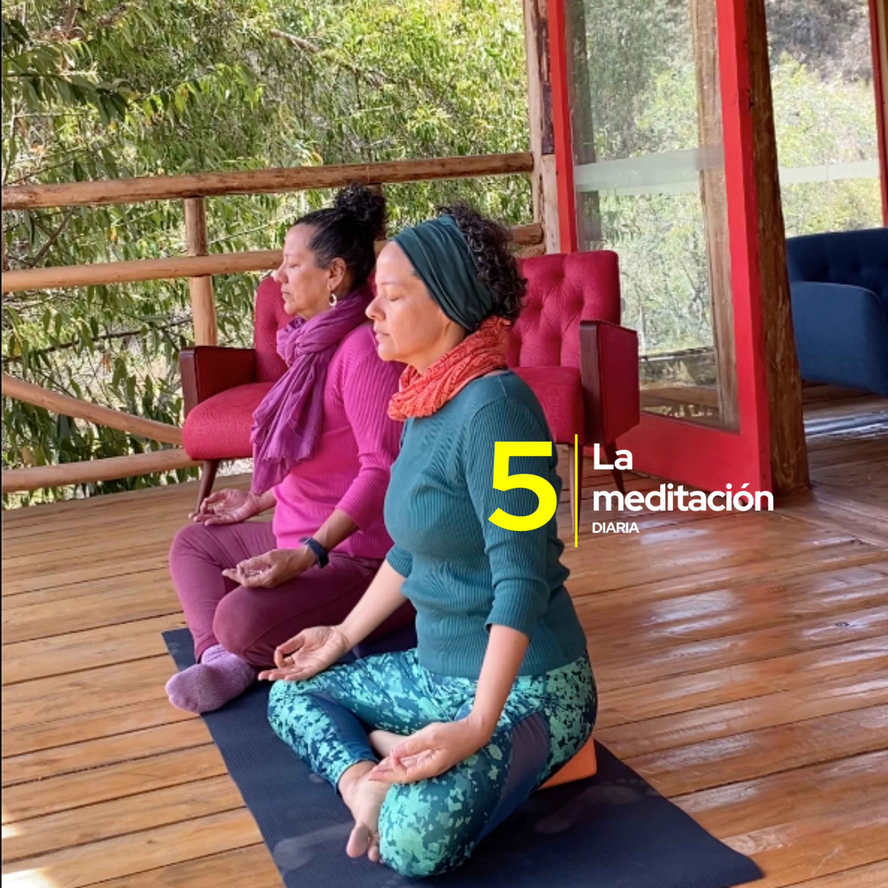 5. La meditación diaria