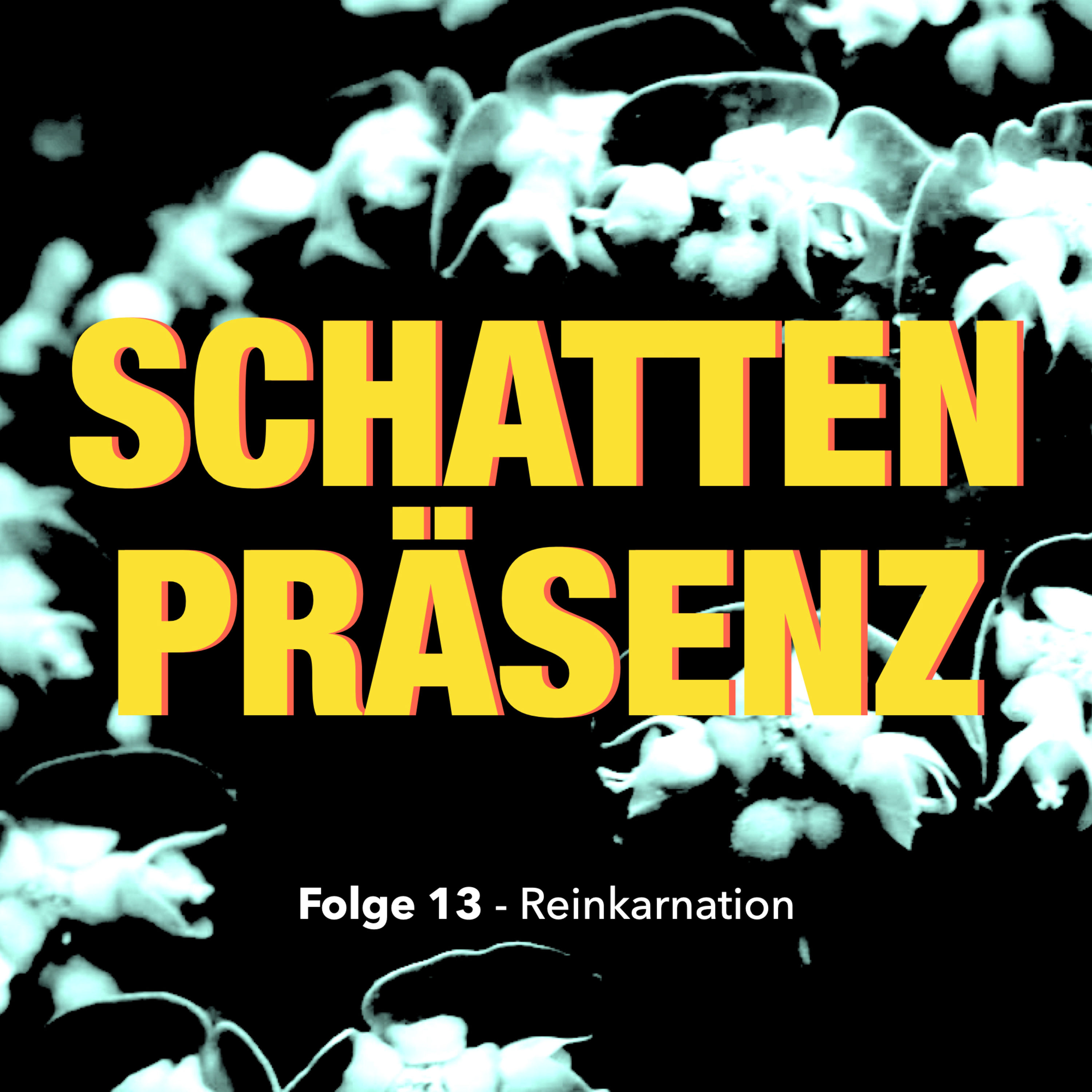 Folge 13: Reinkarnation episode artwork