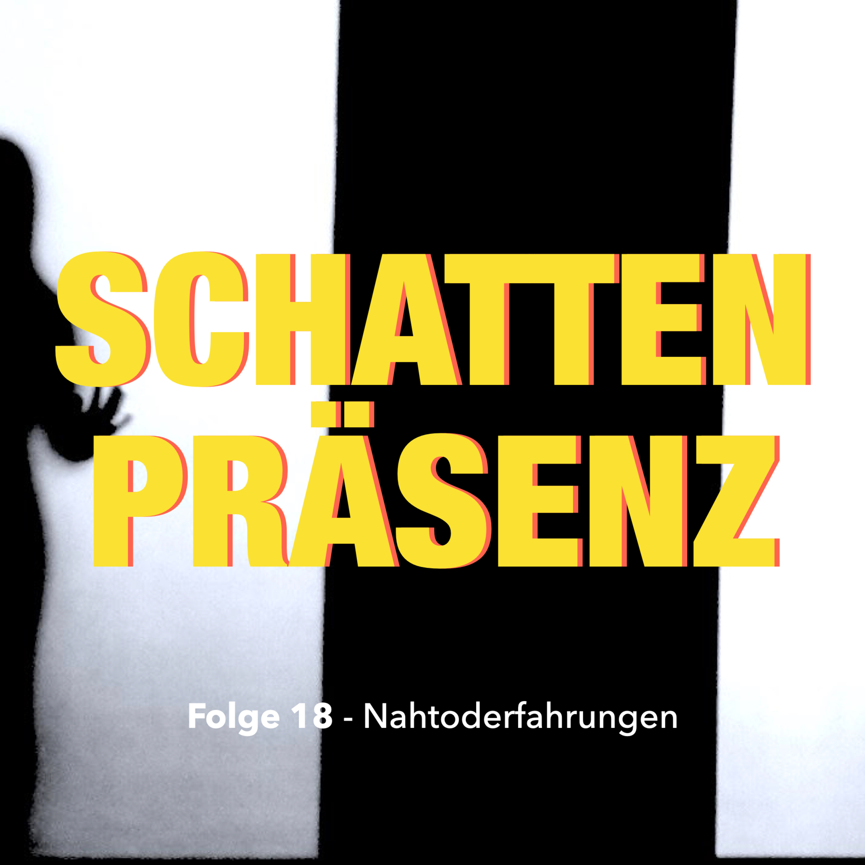 Folge 18: Nahtoderfahrungen episode artwork