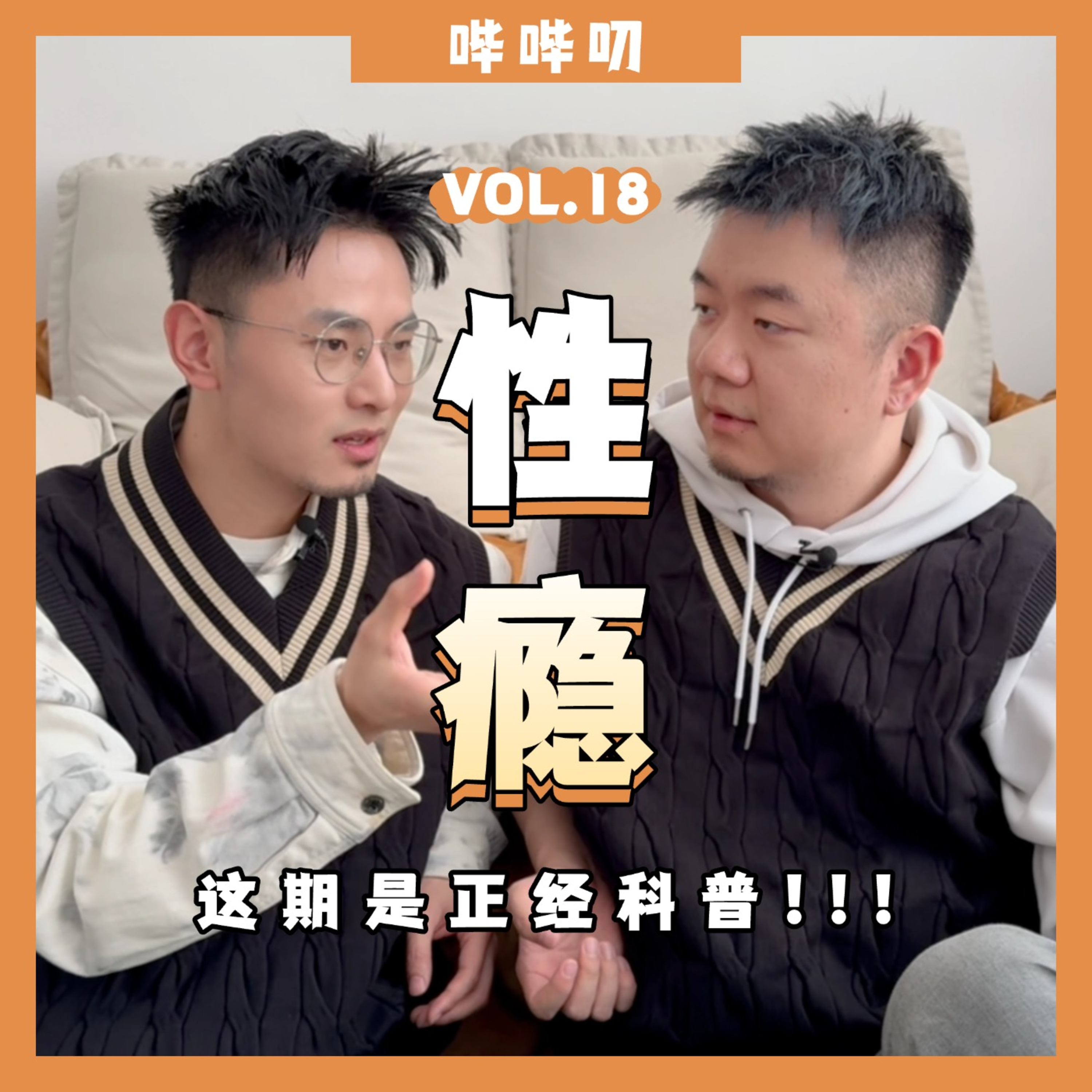 性瘾是否真实存在还是哗众取宠？难以启齿的性成瘾如何形成，又改如何戒除？ episode artwork