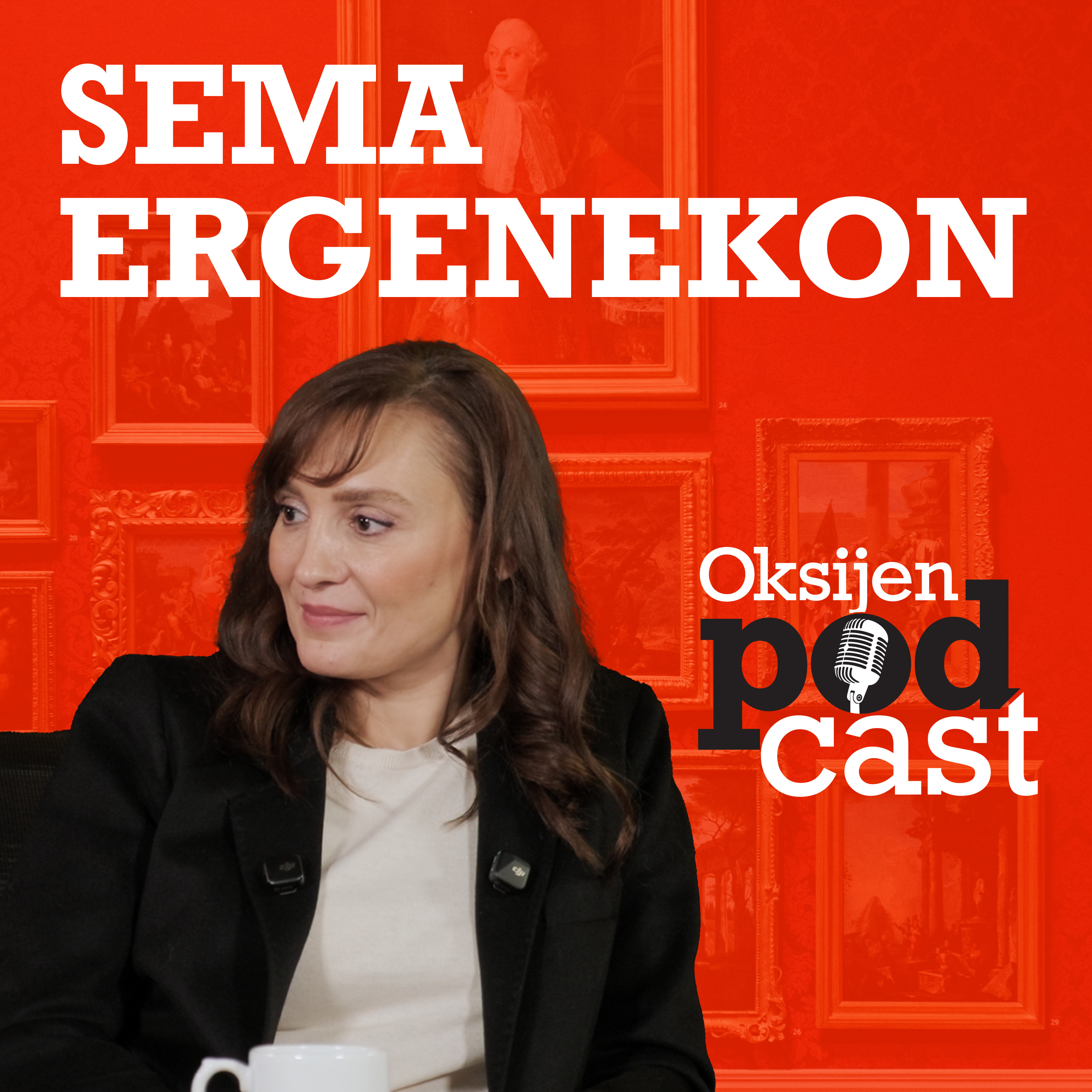 Uzun diziler ve değişen seyirci | Sahtekarlar dizisinden ayrılması | Sema Ergenekon