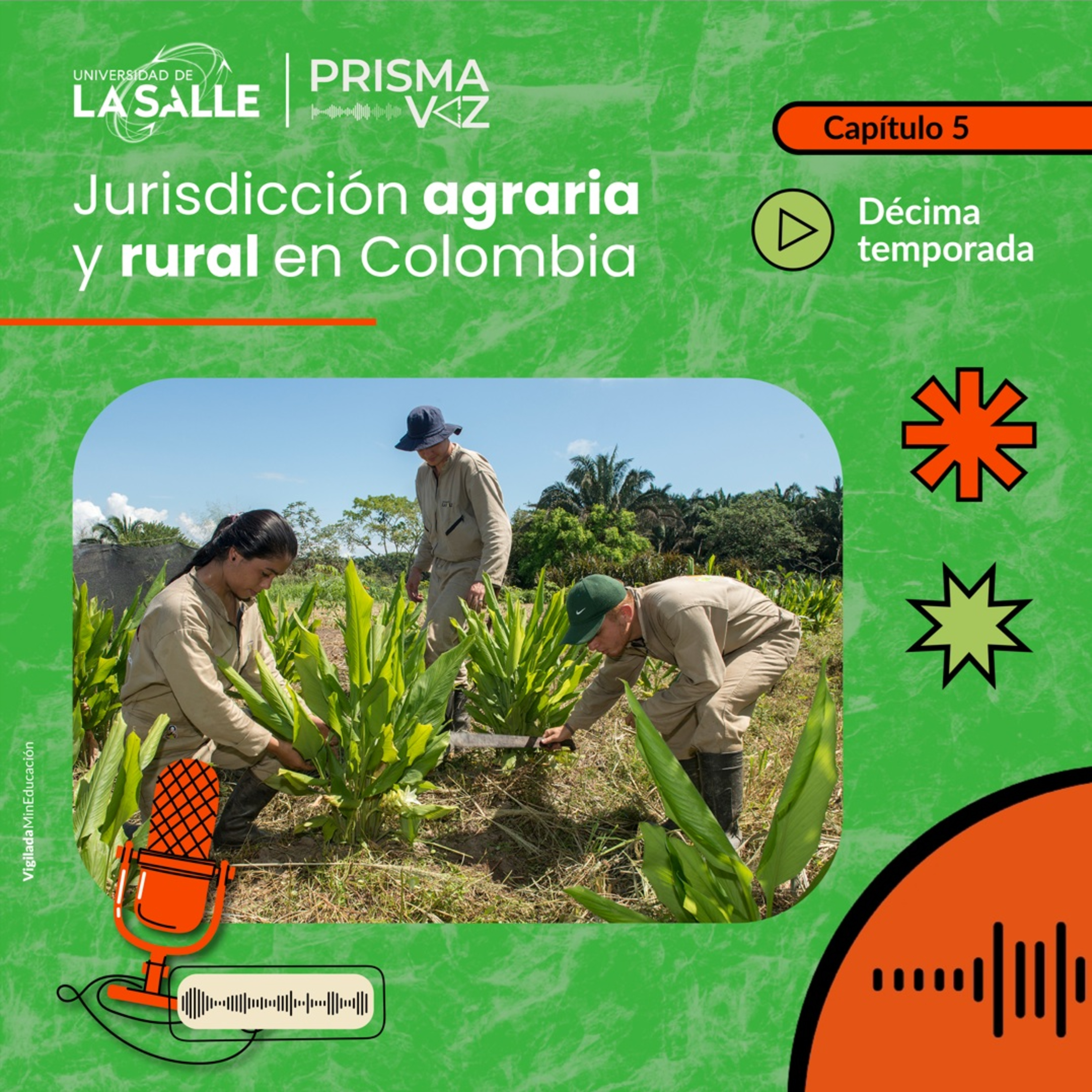 ¿Quién tiene la tierra en Colombia? Jurisdicción Agraria y Rural: la deuda histórica con los campesinos episode artwork
