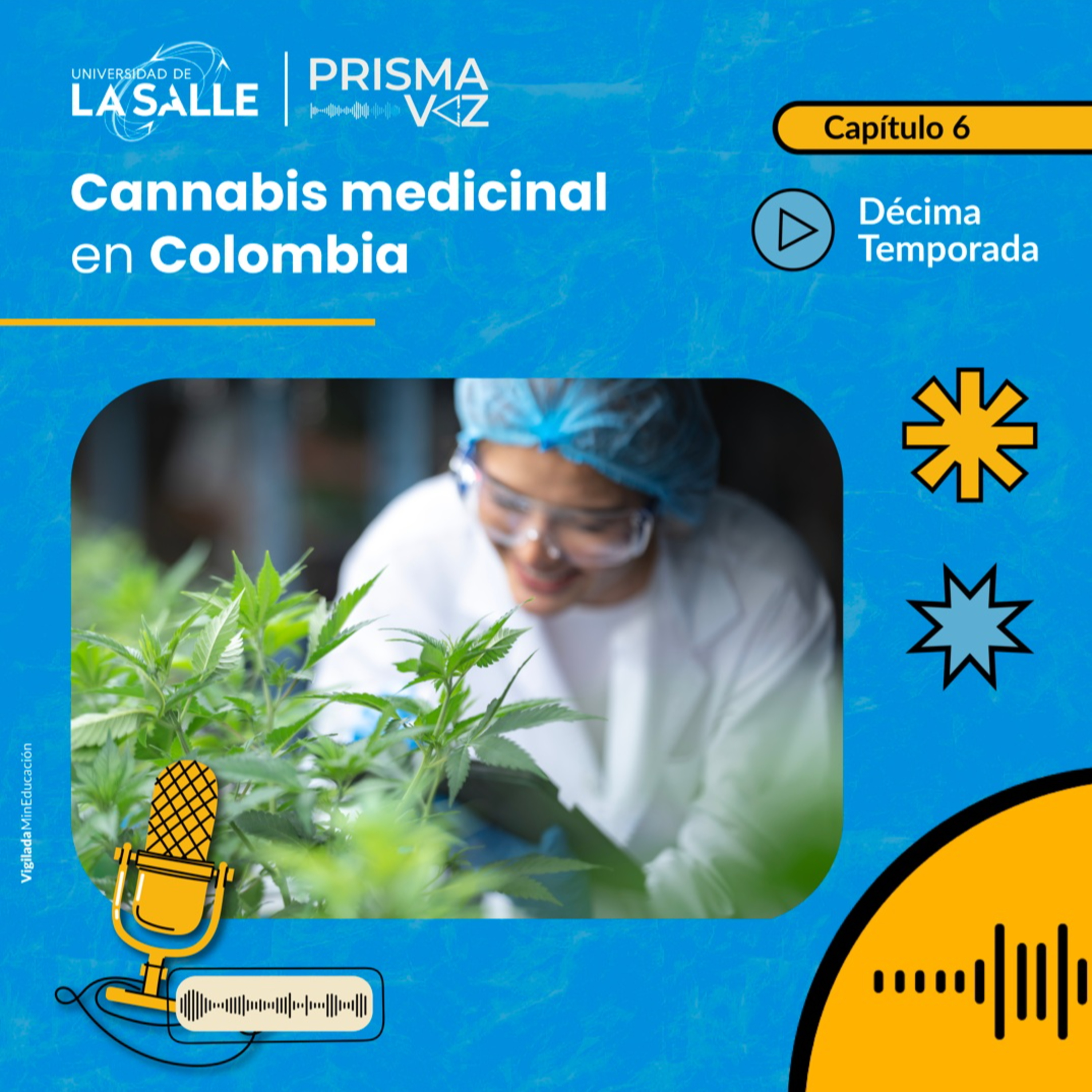 Todo lo que debes saber sobre el cannabis medicinal en Colombia: riesgos, beneficios y su regulación episode artwork