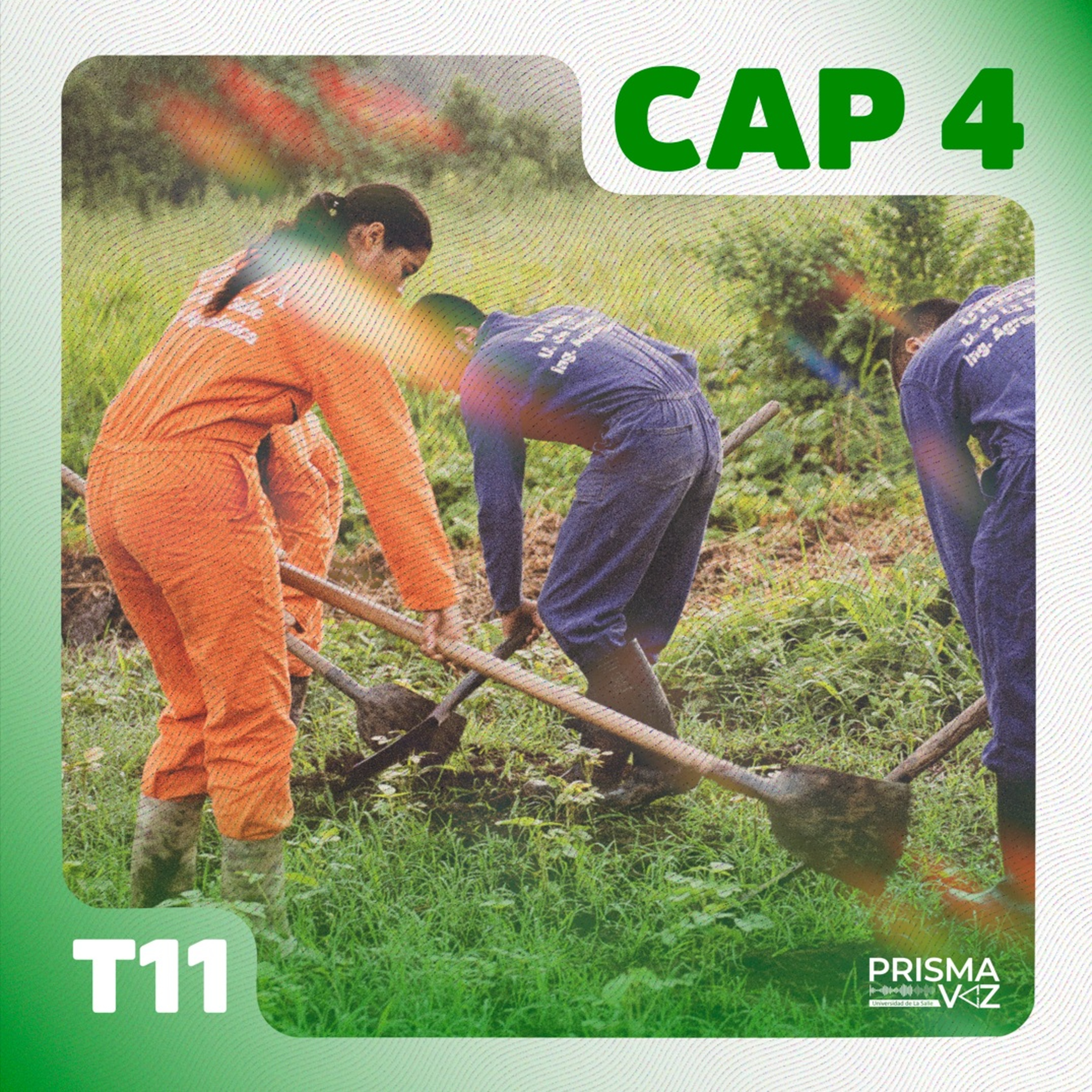 Un campo sin jóvenes amenaza el relevo generacional: ¿quién va a cultivar la tierra en Colombia?  episode artwork