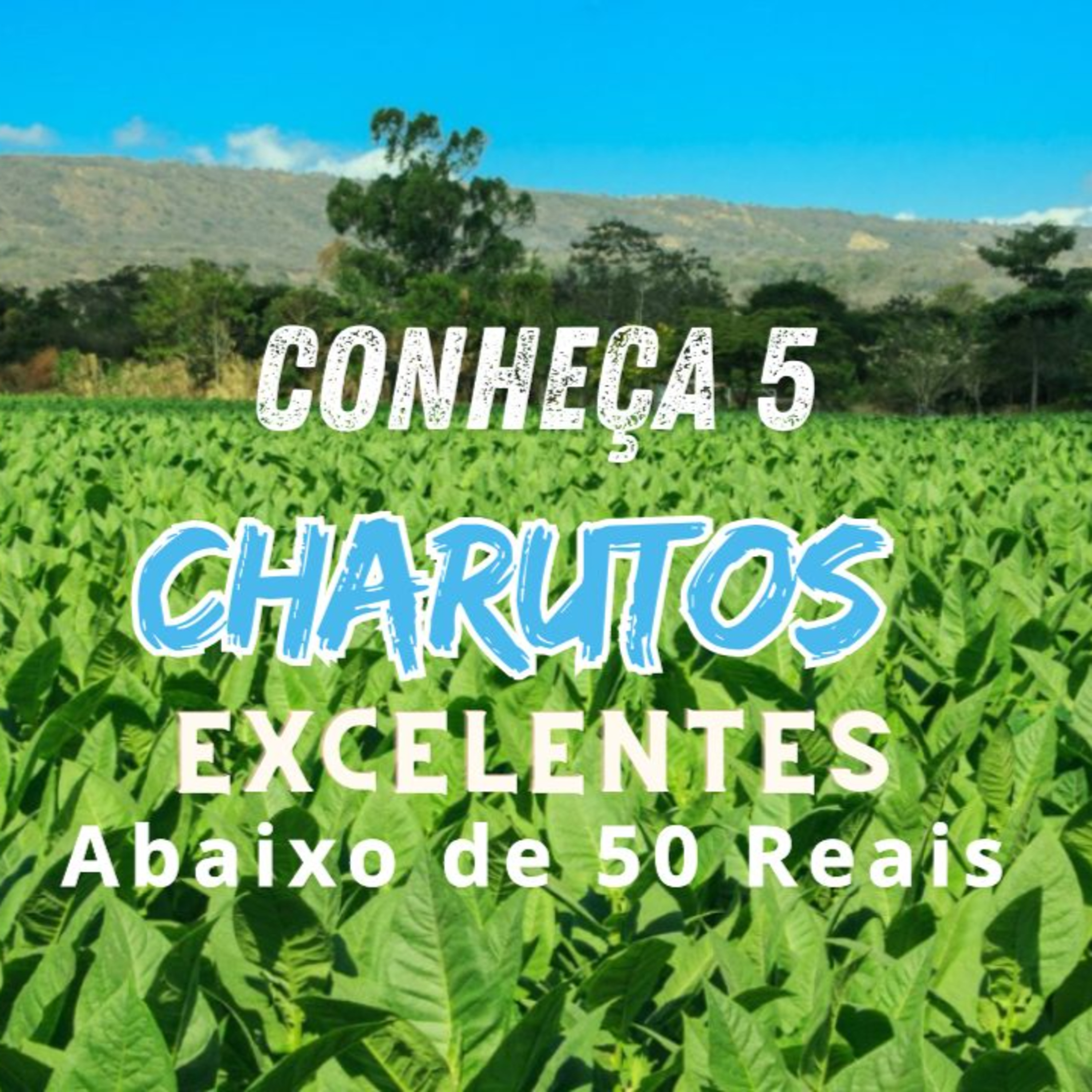 Bem-vindo ao Canal Riff do Charuto!