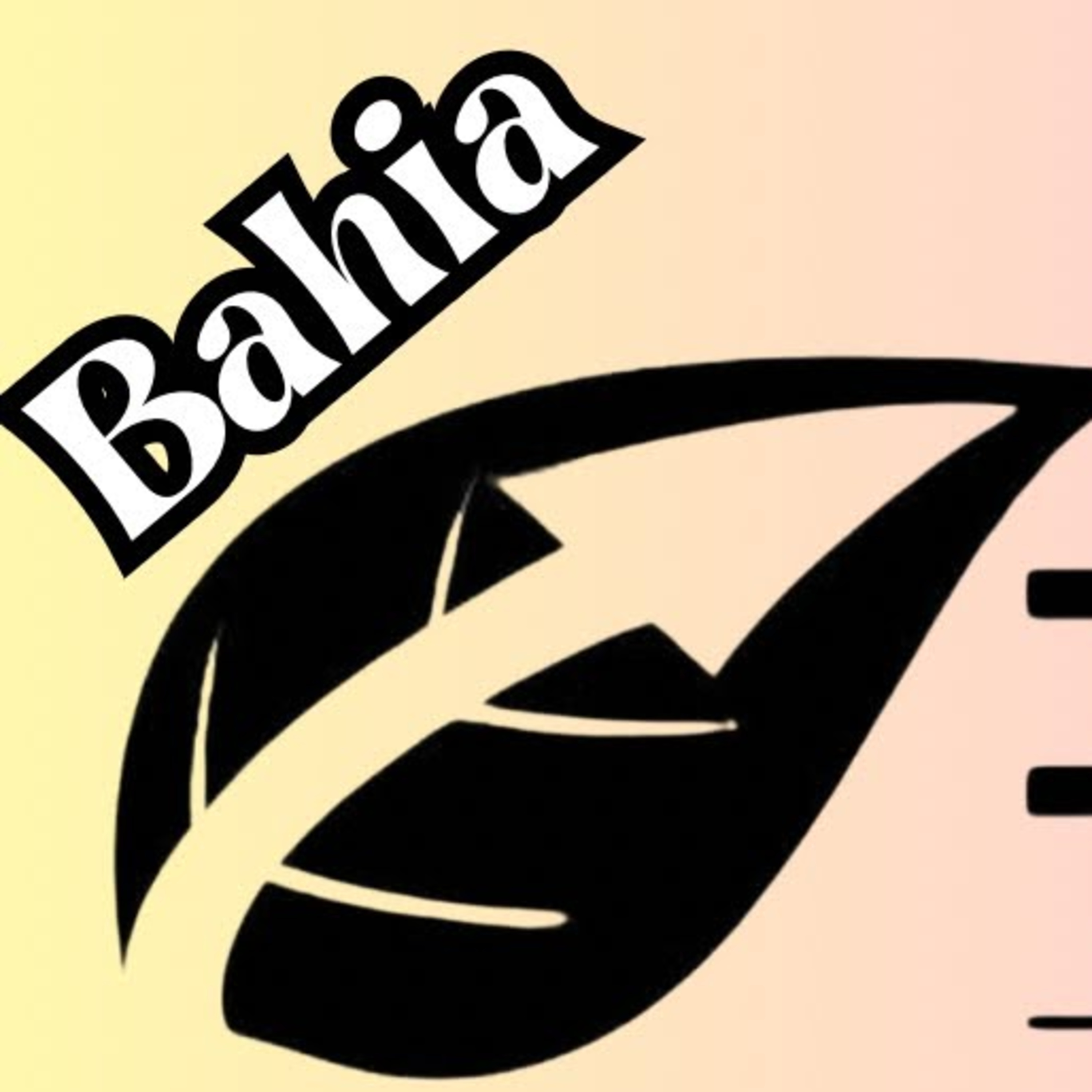 Bem-vindo ao Canal Riff do Charuto!