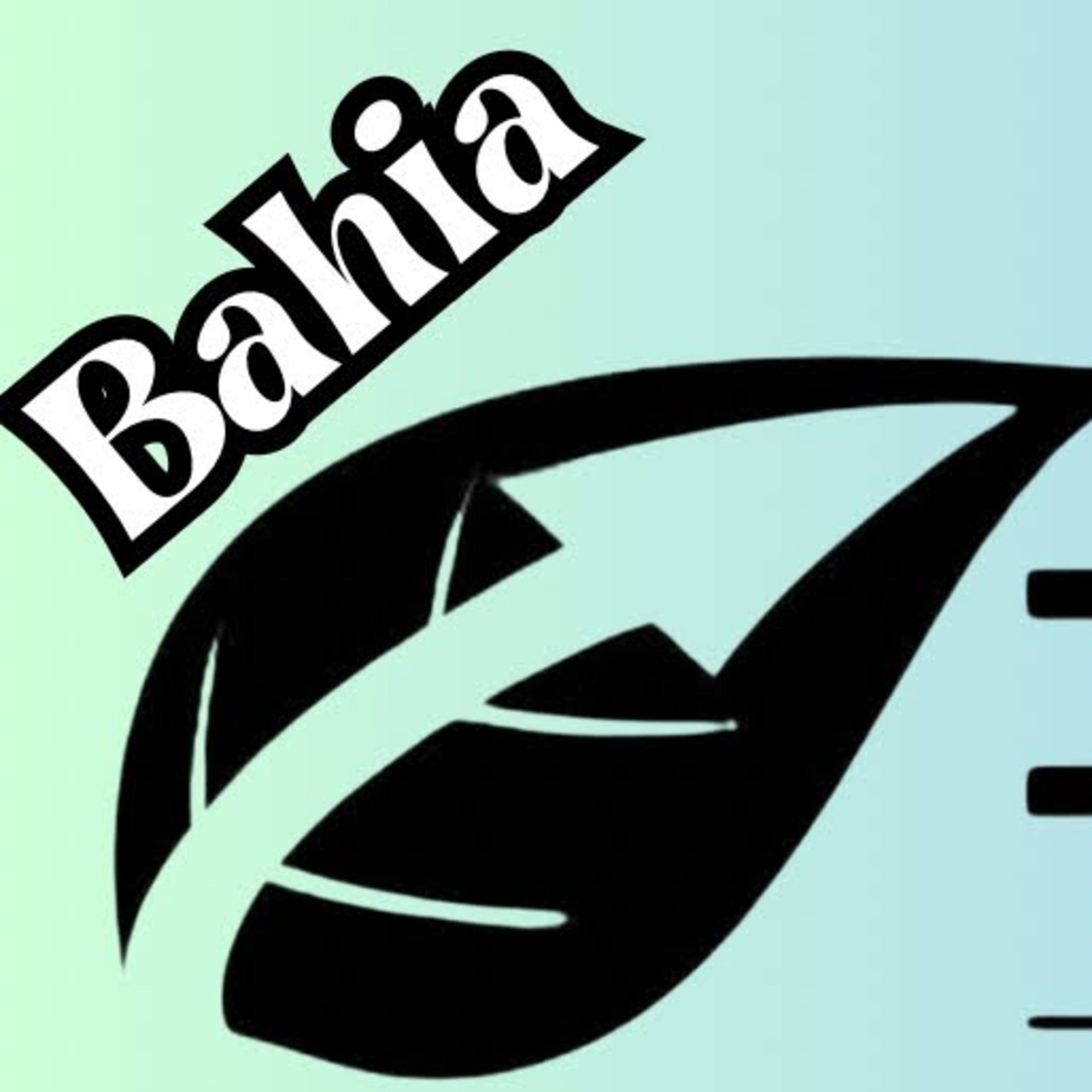 Bem-vindo ao Canal Riff do Charuto!