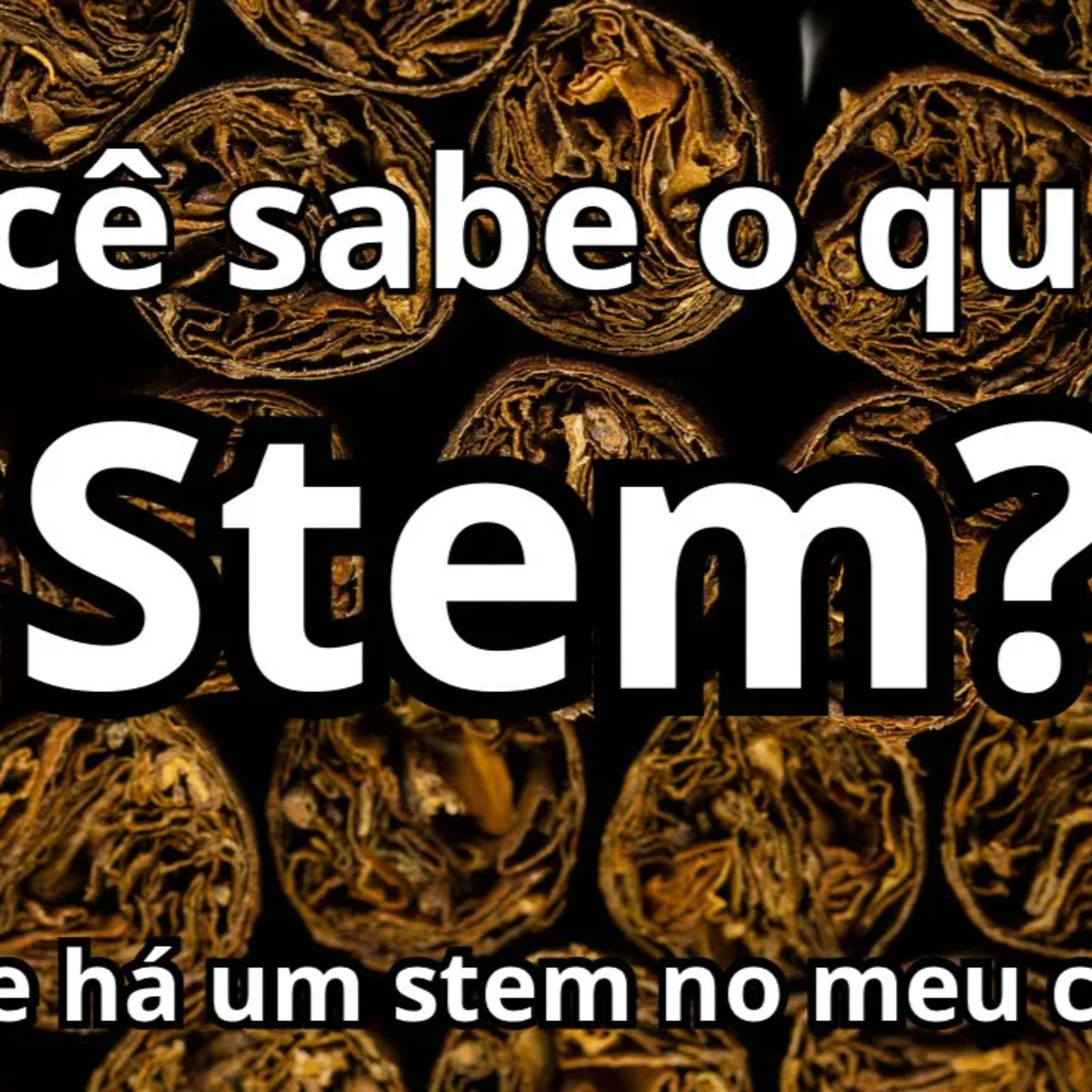 Bem-vindo ao Canal Riff do Charuto!