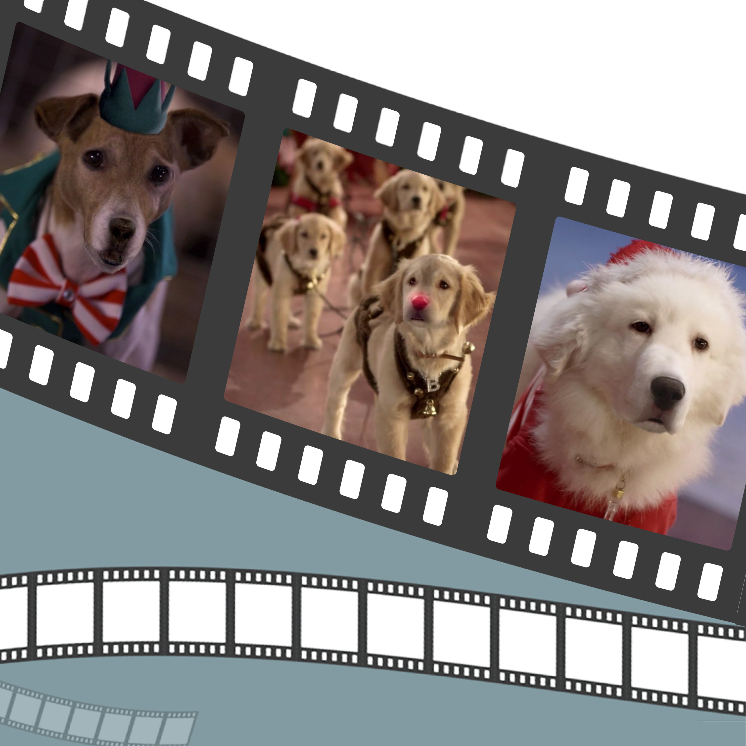 Santa Buddies - Deck the Halls with Barks of Holly