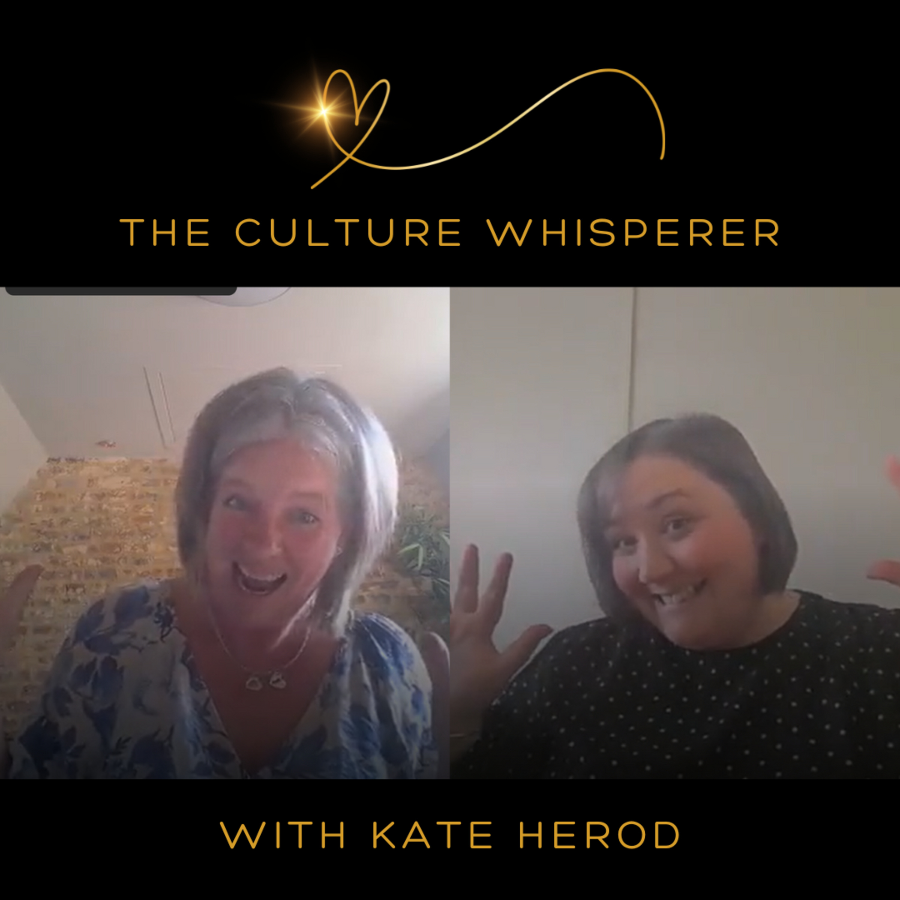 The Culture Whisperer - a podcast for HR, Communications and Business Leaders everywhere!