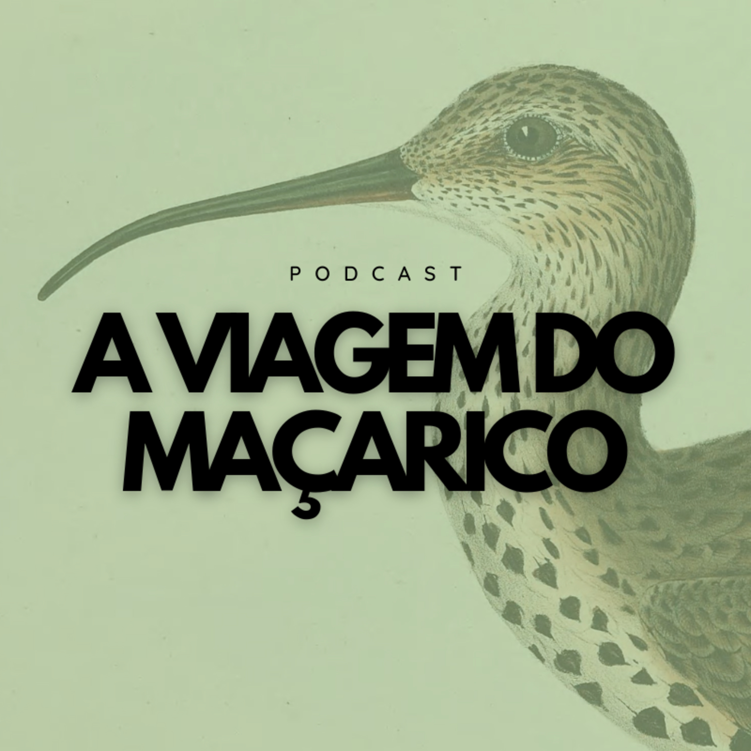 Fábia Azevedo, coordenadora do RIAS e da associação Vita Nativa episode artwork