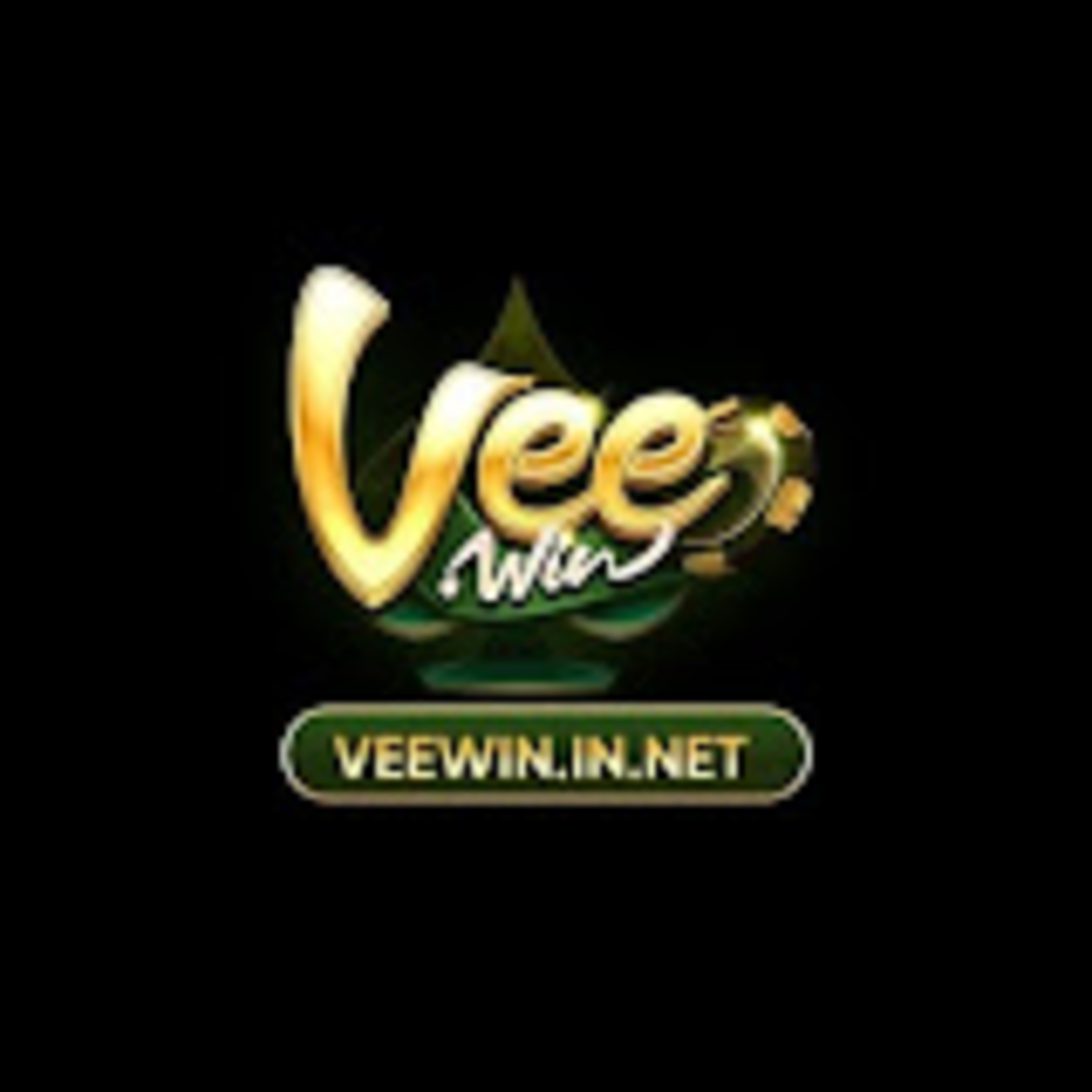 veewininnet episode artwork
