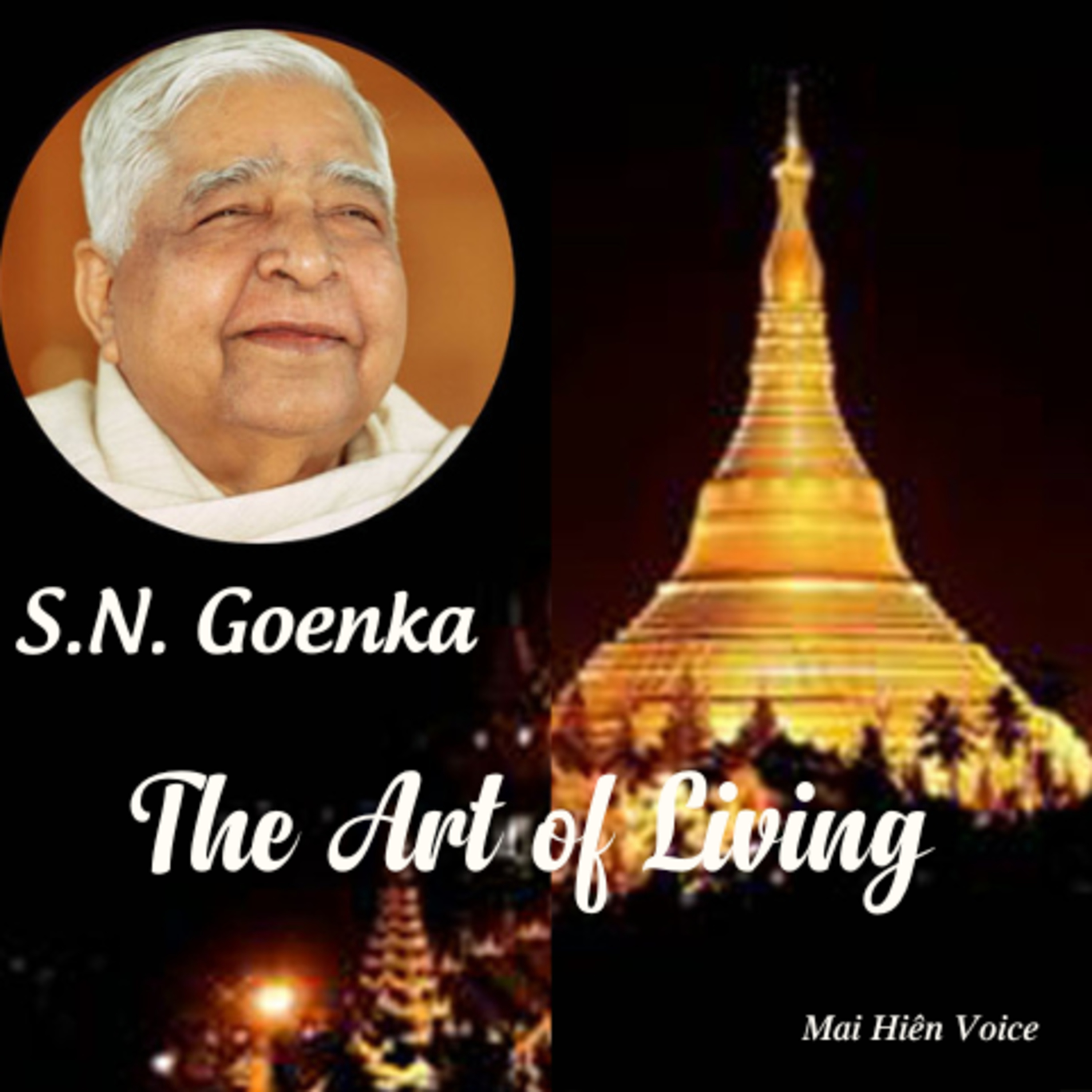 Nghệ thuật sống #02 - Thiền sư S.N Goenka: Dẫn nhập episode artwork
