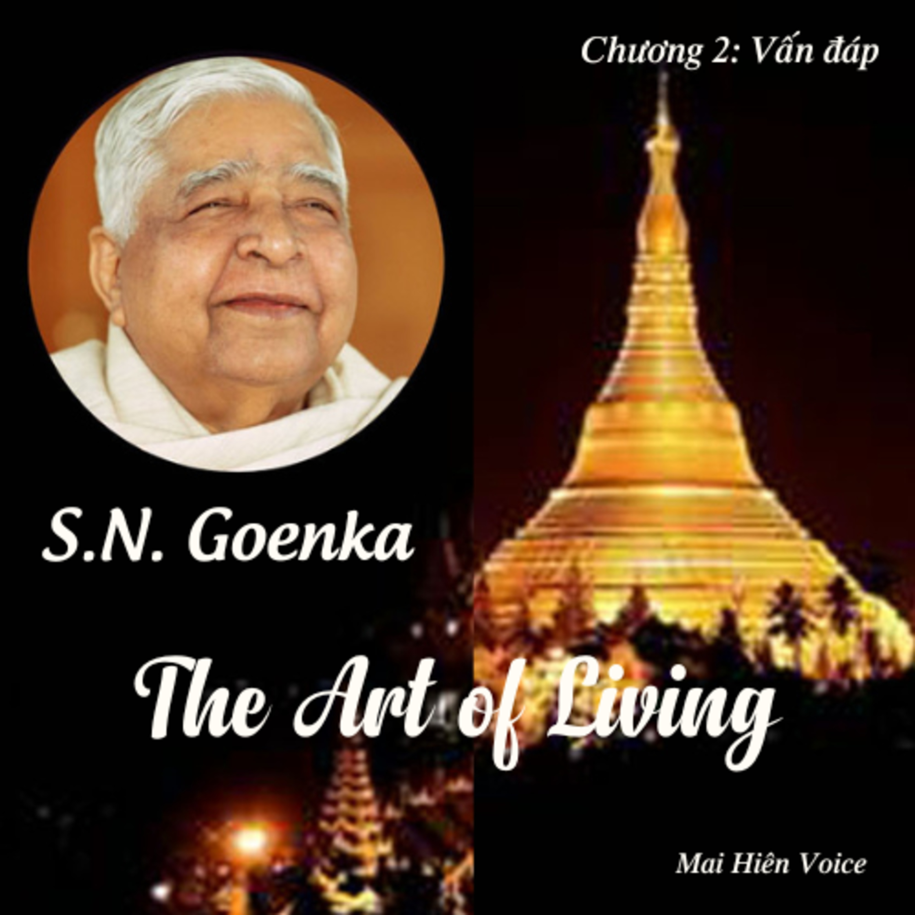 Nghệ thuật sống #08 - S.N.Goenka - Chương 2: phần Vấn đáp episode artwork