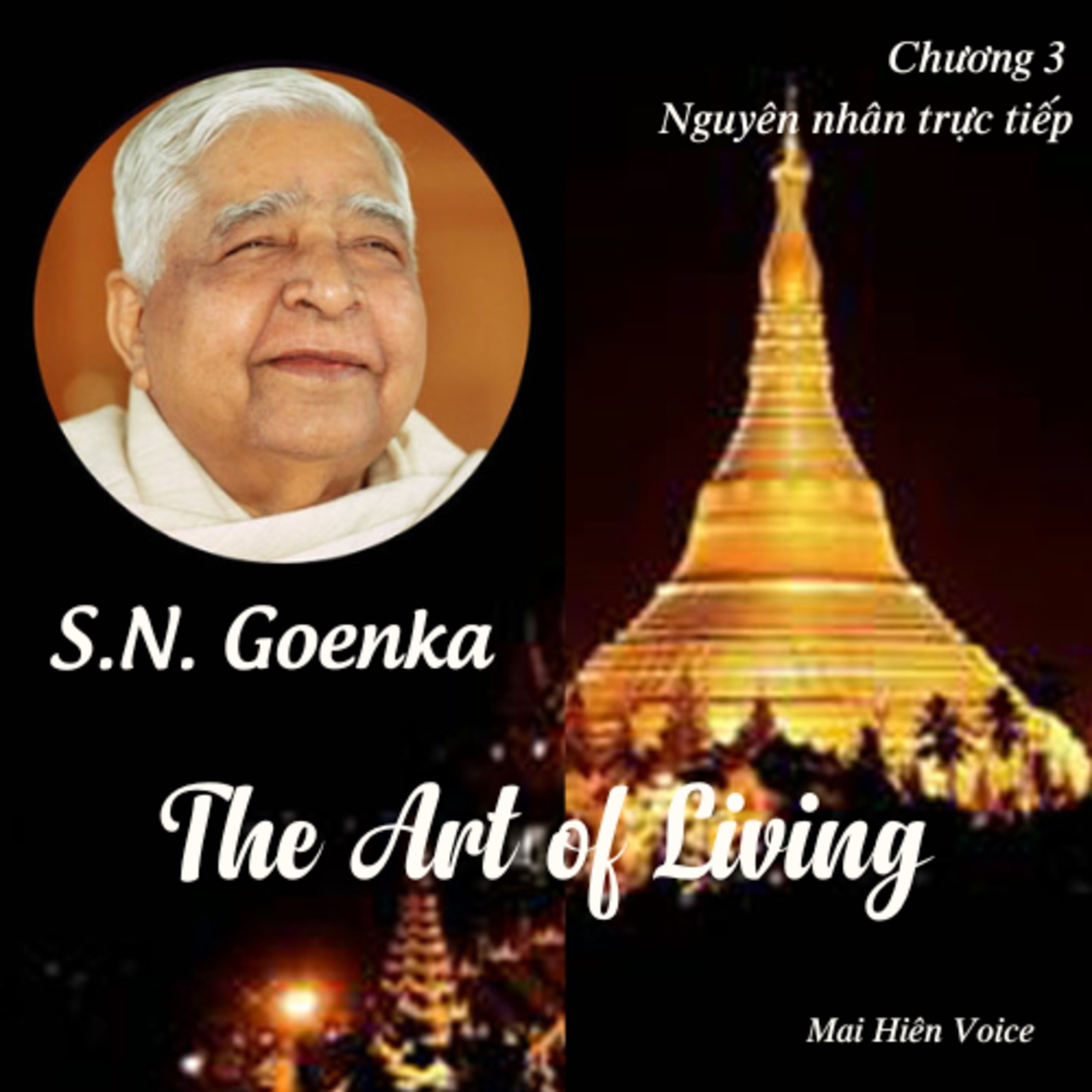 Nghệ thuật sống #10 -Thiền sư S.N.Goenka-Chương 3: Nguyên nhân trực tiếp episode artwork