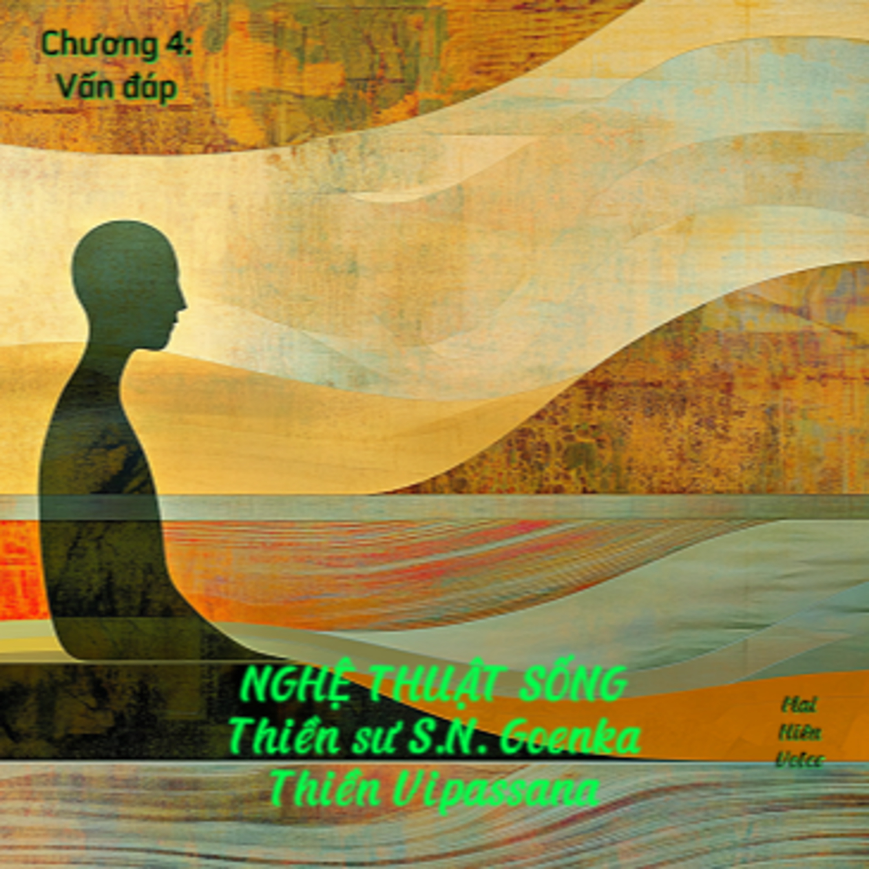 Nghệ thuật sống #14 - Thiền sư S.N. Goenka - Thiền Vipassana - Chương 4: Vấn đáp episode artwork