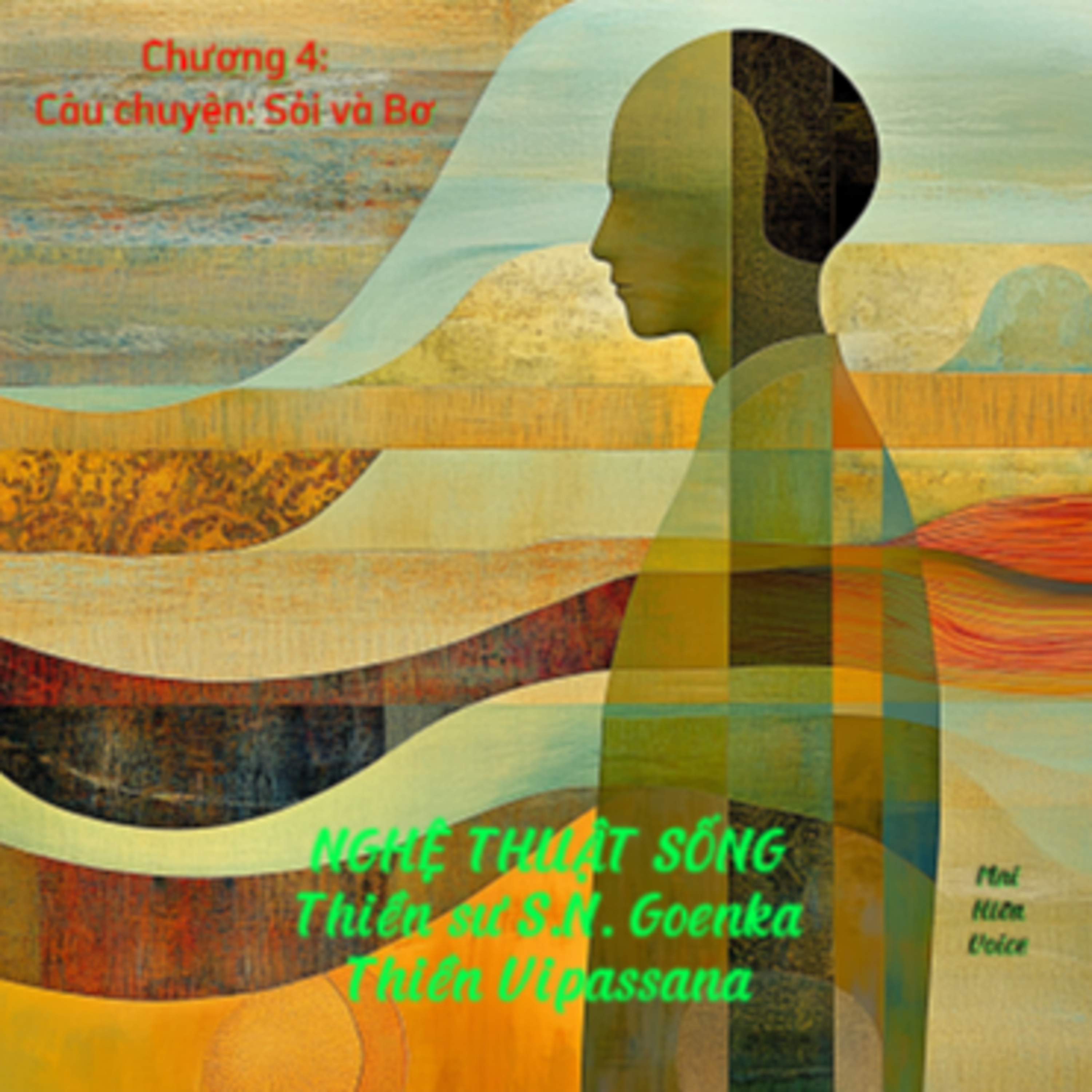 Nghệ thuật sống #15 -Thiền sư S.N. Goenka-Thiền Vipassana-Chương 4: Câu chuyện Sỏi và Bơ episode artwork