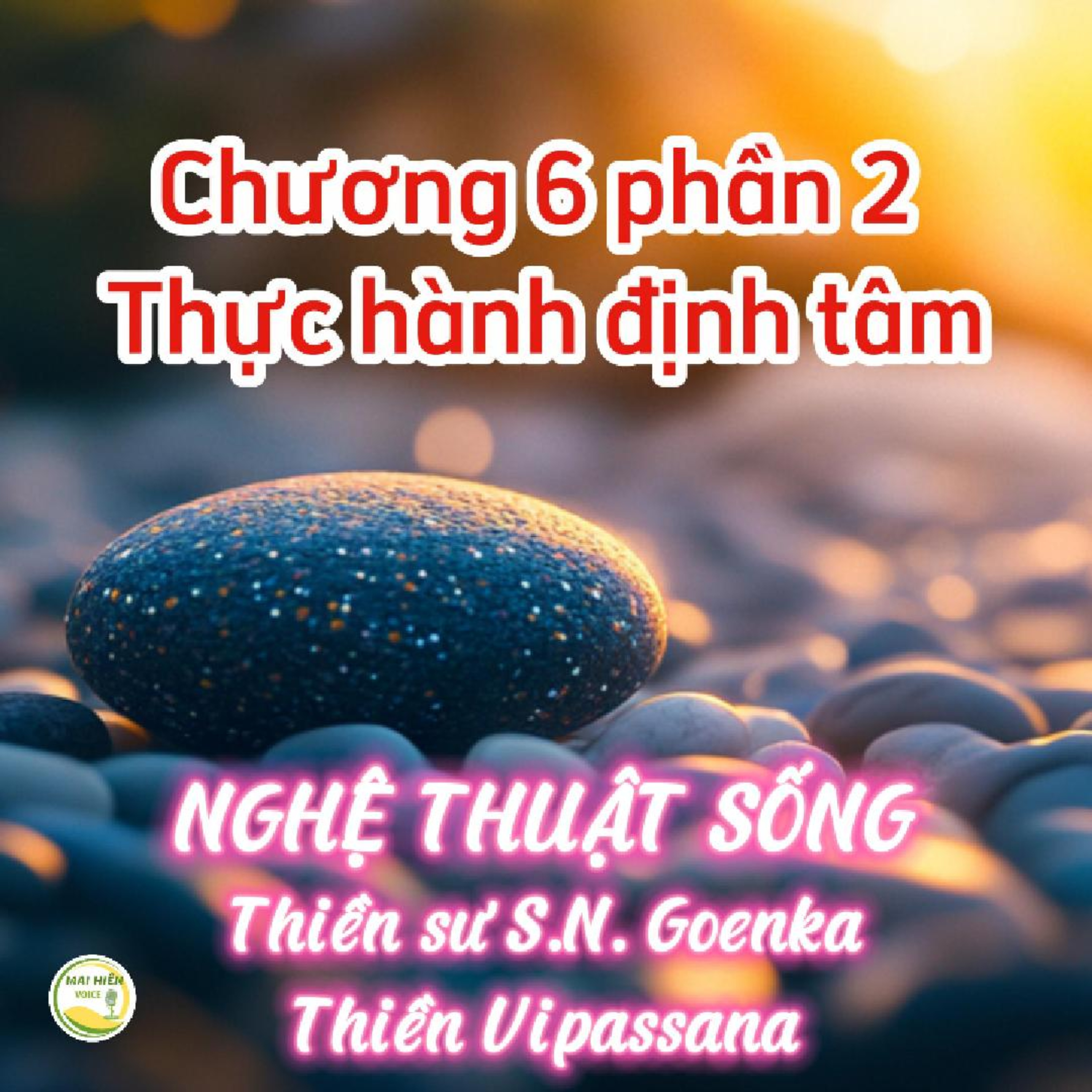 Nghệ thuật sống #20 - Thiền sư S.N. Goenka - Thiền Vipassana - Chương 6: Thực hành định tâm (phần 2) episode artwork