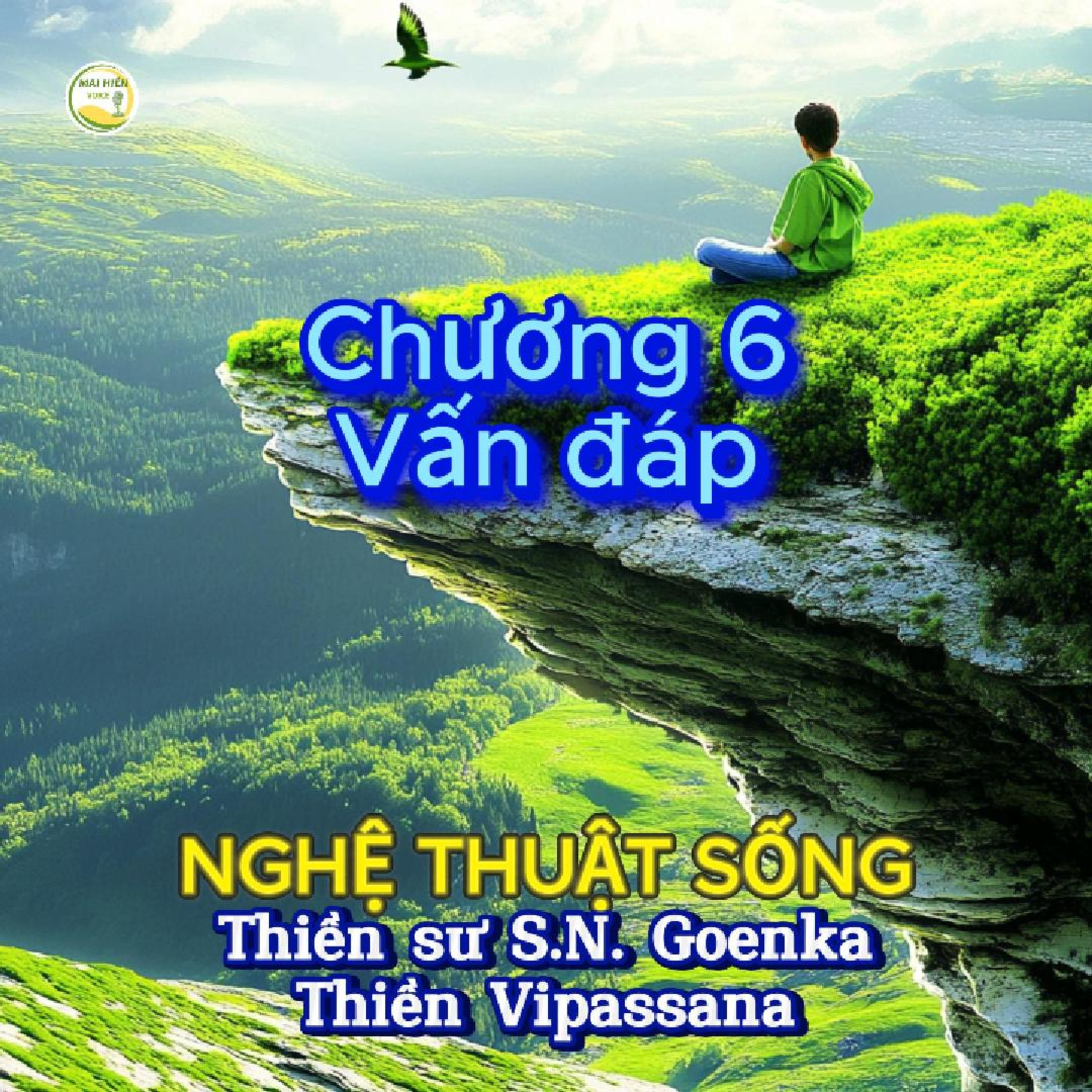 Nghệ thuật sống #21 - Thiền sư S.N.Goenka - Thiền Vipassana - Chương 6 phần Vấn đáp episode artwork