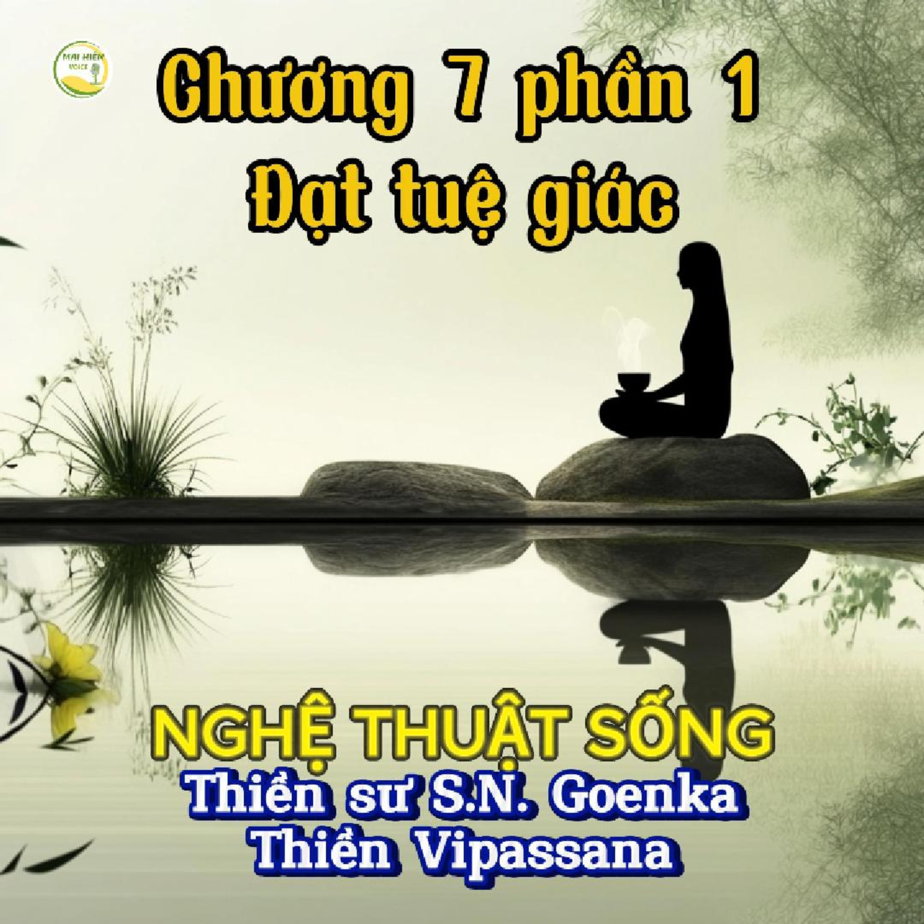 Nghệ thuật sống #23 - Thiền sư S.N Goenka - Thiền Vipassana - Chương 7: Đạt tuệ giác (P1) episode artwork