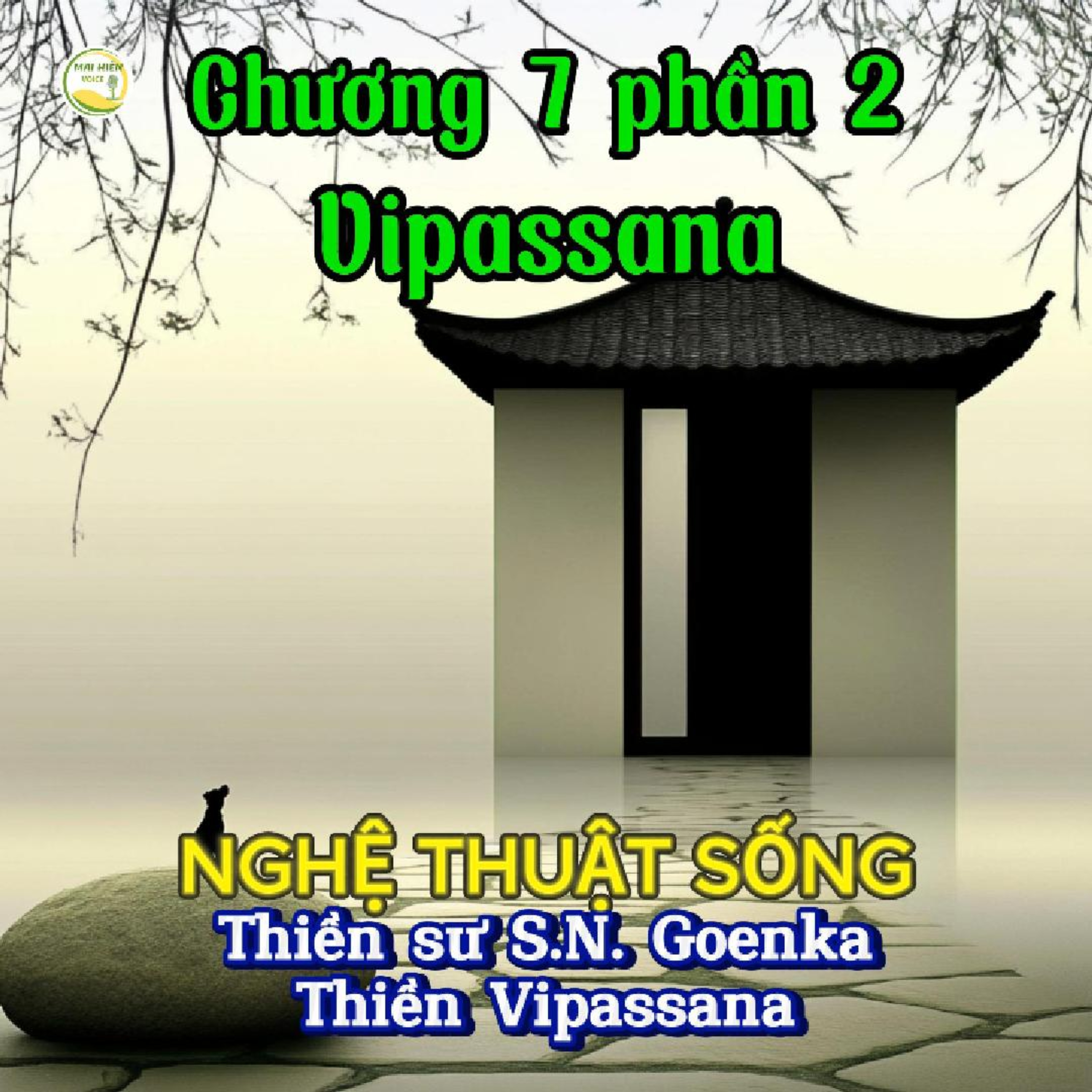 Nghệ thuật sống #24 - Thiền sư S.N.Goenka - Thiền Vipassana - Chương 7: Đạt tuệ giác (Phần 2) episode artwork