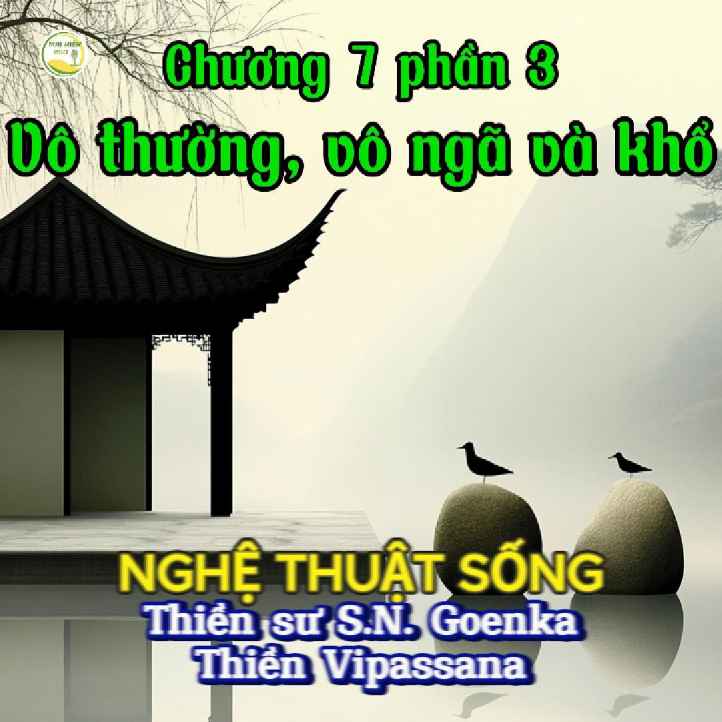 Nghệ thuật sống #25 - Thiền sư S.N.Goenka - Thiền Vipassana. Chương 7 phần 3: Vô thường, vô ngã và khổ episode artwork