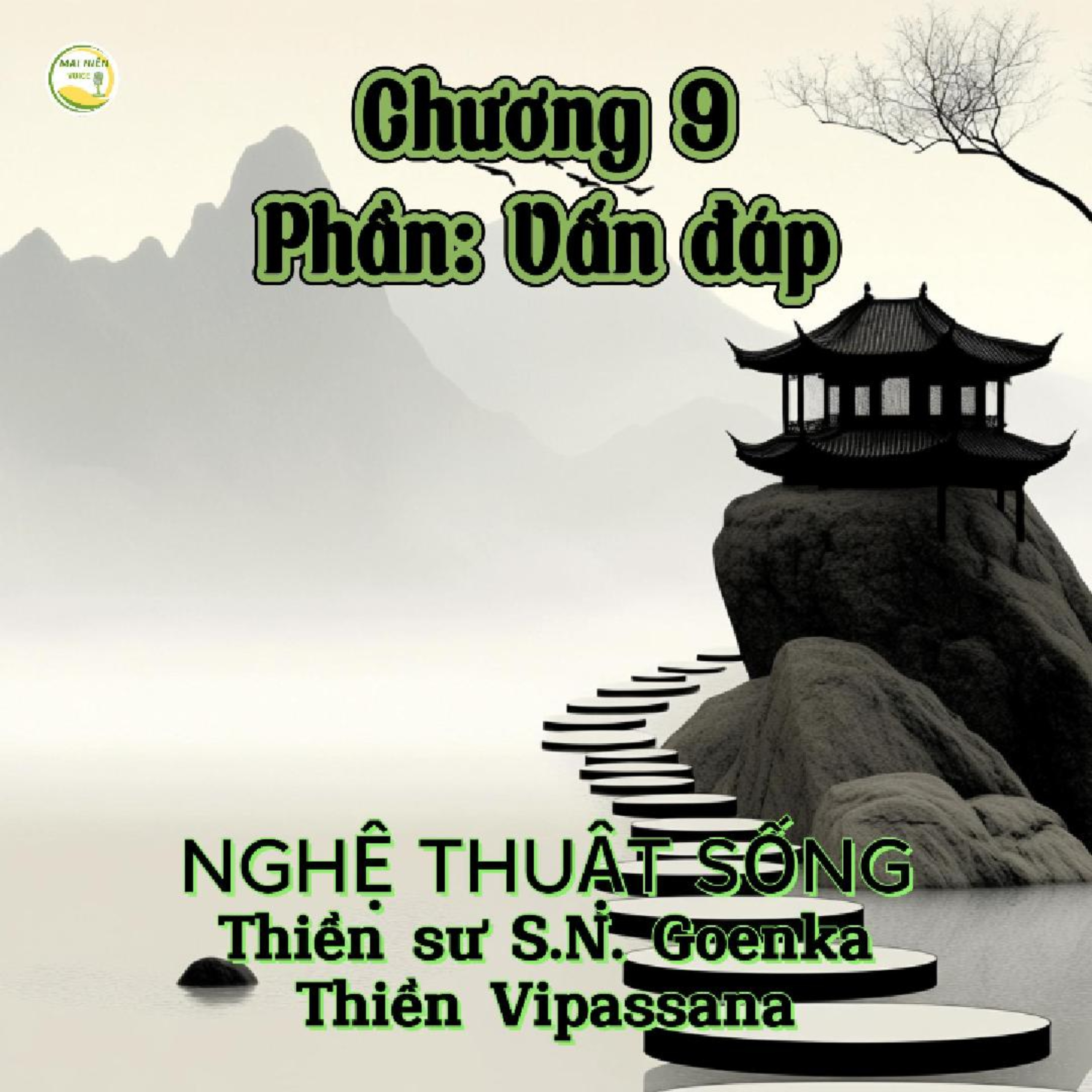 Nghệ thuật sống #32-Thiền sư S.N.Goenka - Thiền Vipassana - Chương 9: phần Vấn đáp episode artwork