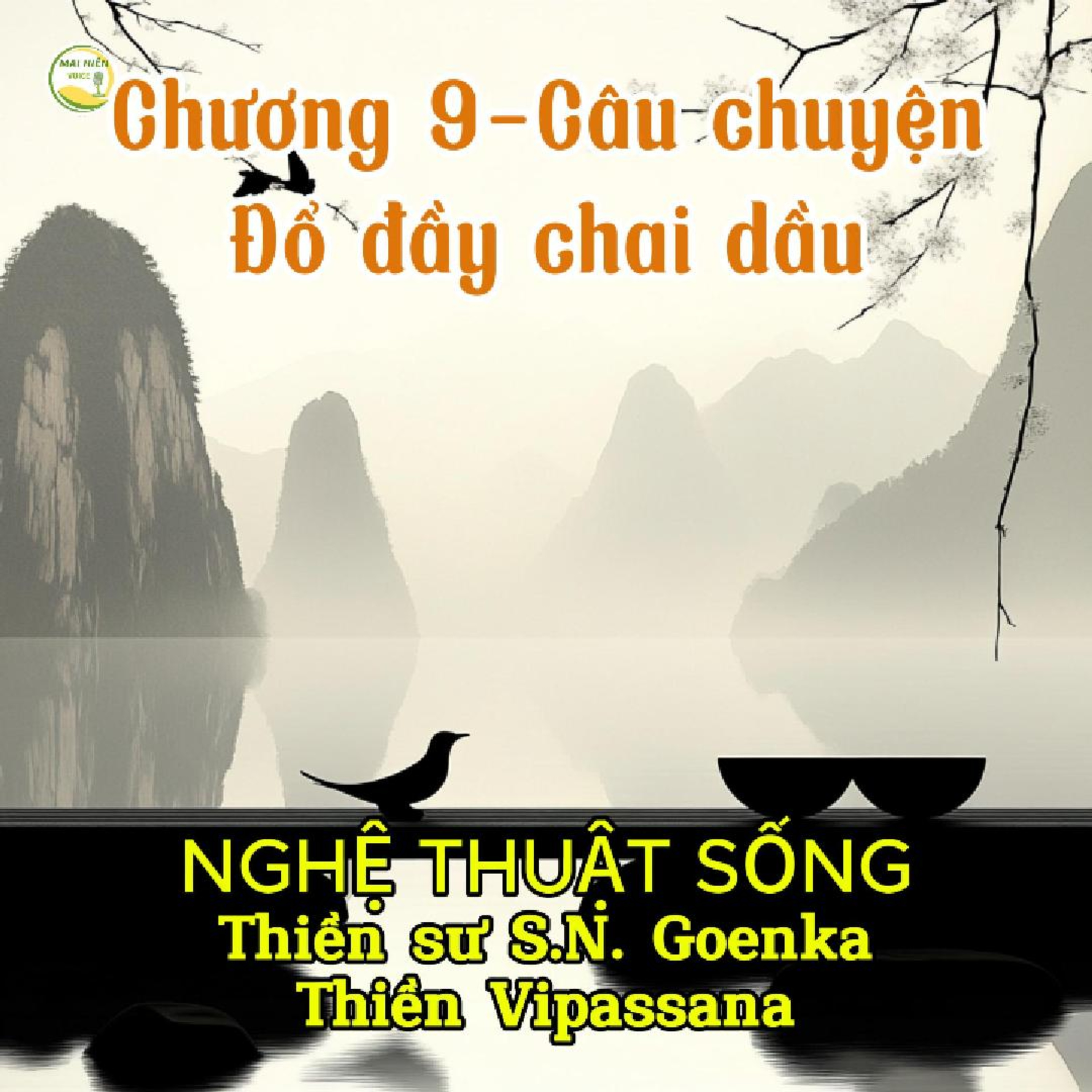 Nghệ thuật sống #33- Thiền sư S.N. Goenka - Thiền Vipassana - Chương 9- Câu chuyện: Đổ đầy chai dầu episode artwork