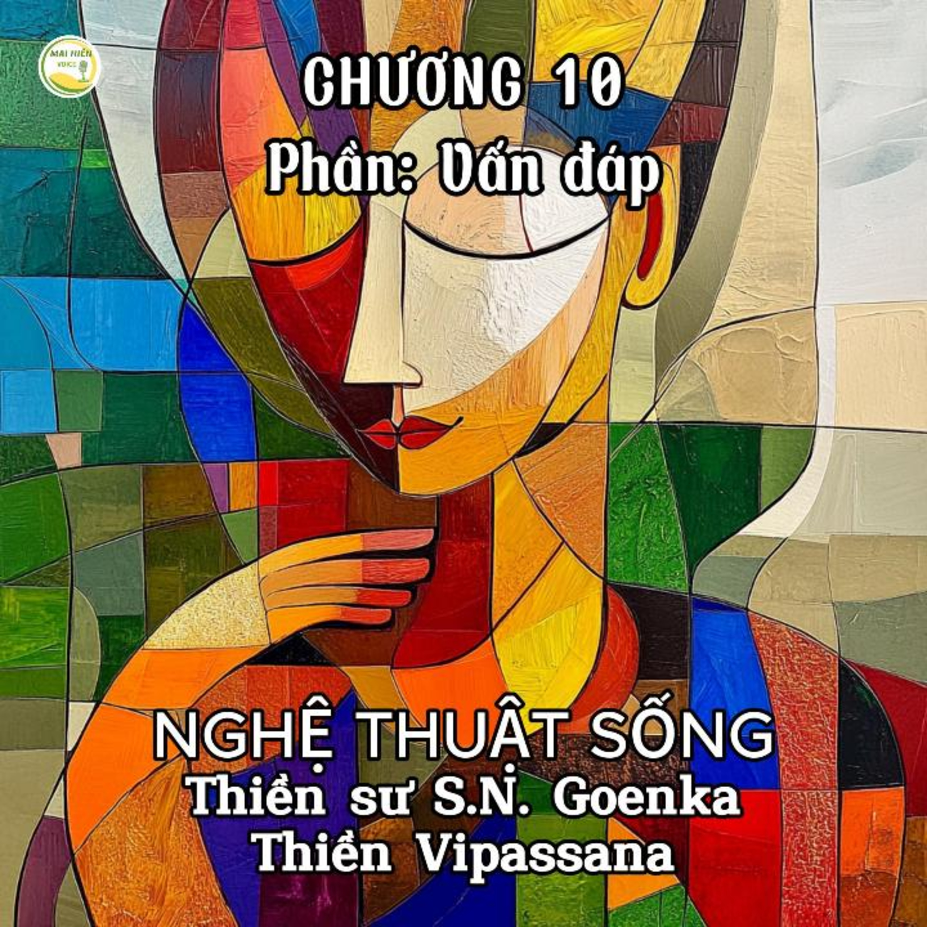 Nghệ thuật sống #35-Thiền sư S.N.Goenka-Thiền Vipassana - Chương 10 - Phần Vấn đáp episode artwork