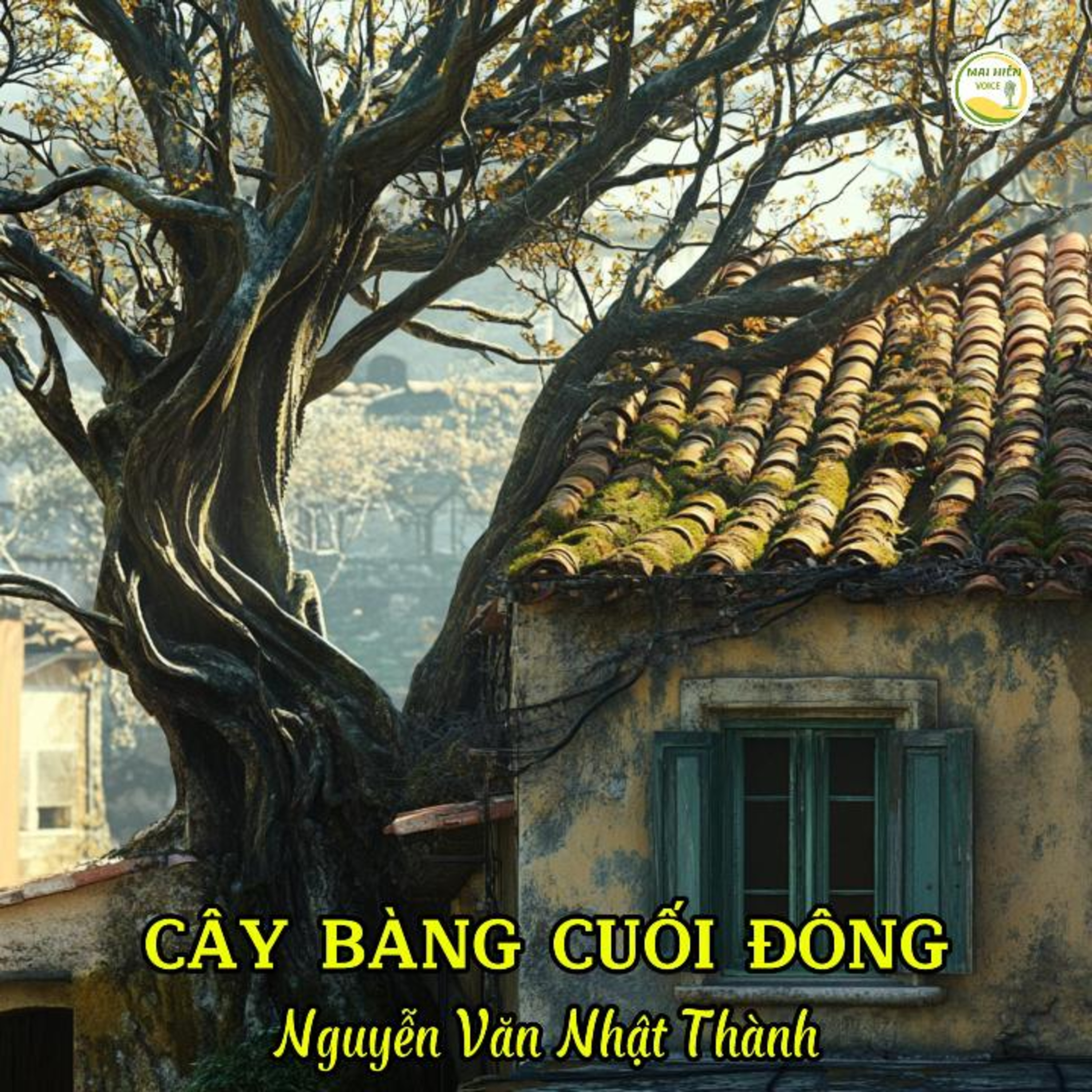 Tản văn hay #17 - Cây bàng mùa đông - Tác giả: Nguyễn Văn Nhật Thành episode artwork