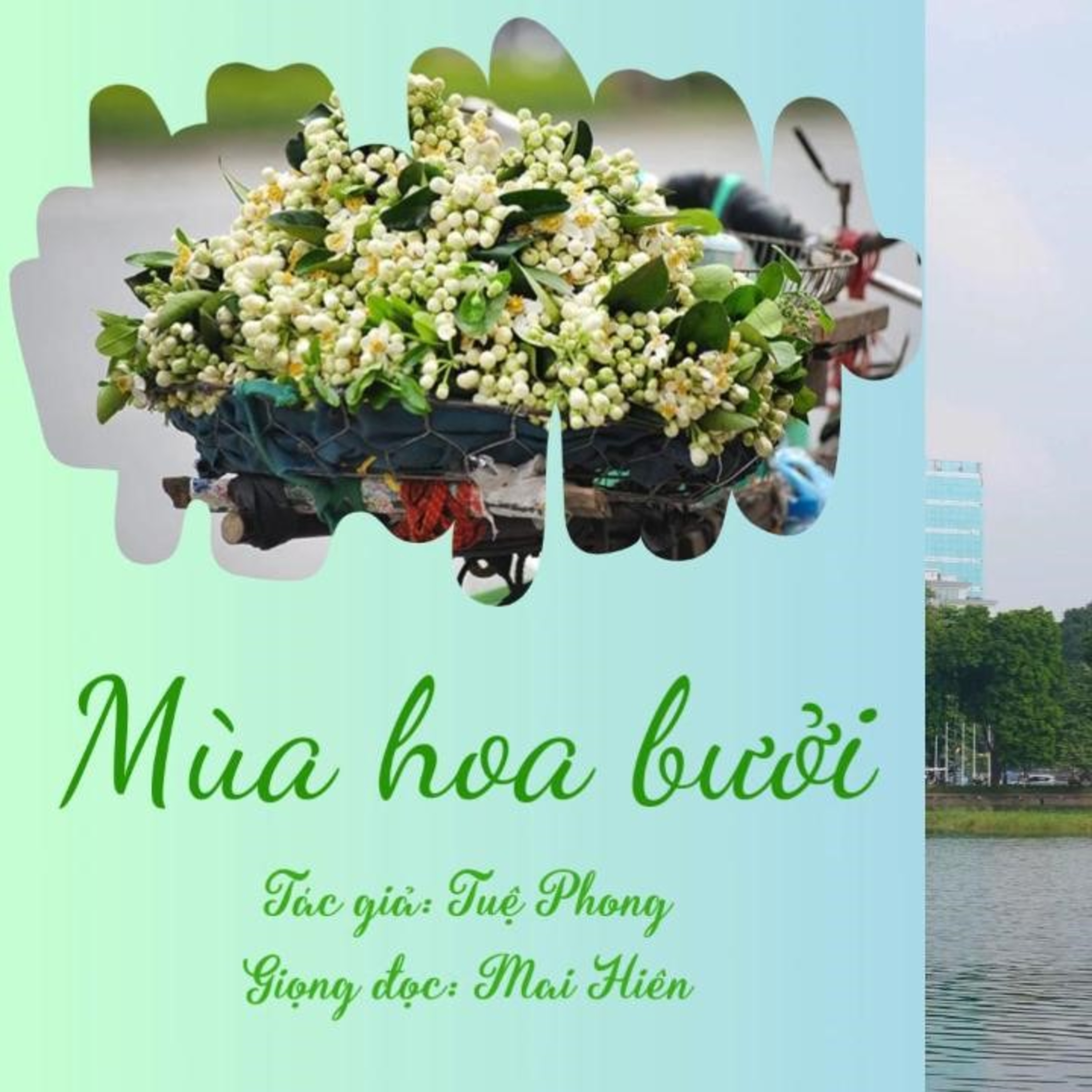 Tản văn hay #25: Mùa hoa bưởi - Tác giả: Tuệ Phong episode artwork