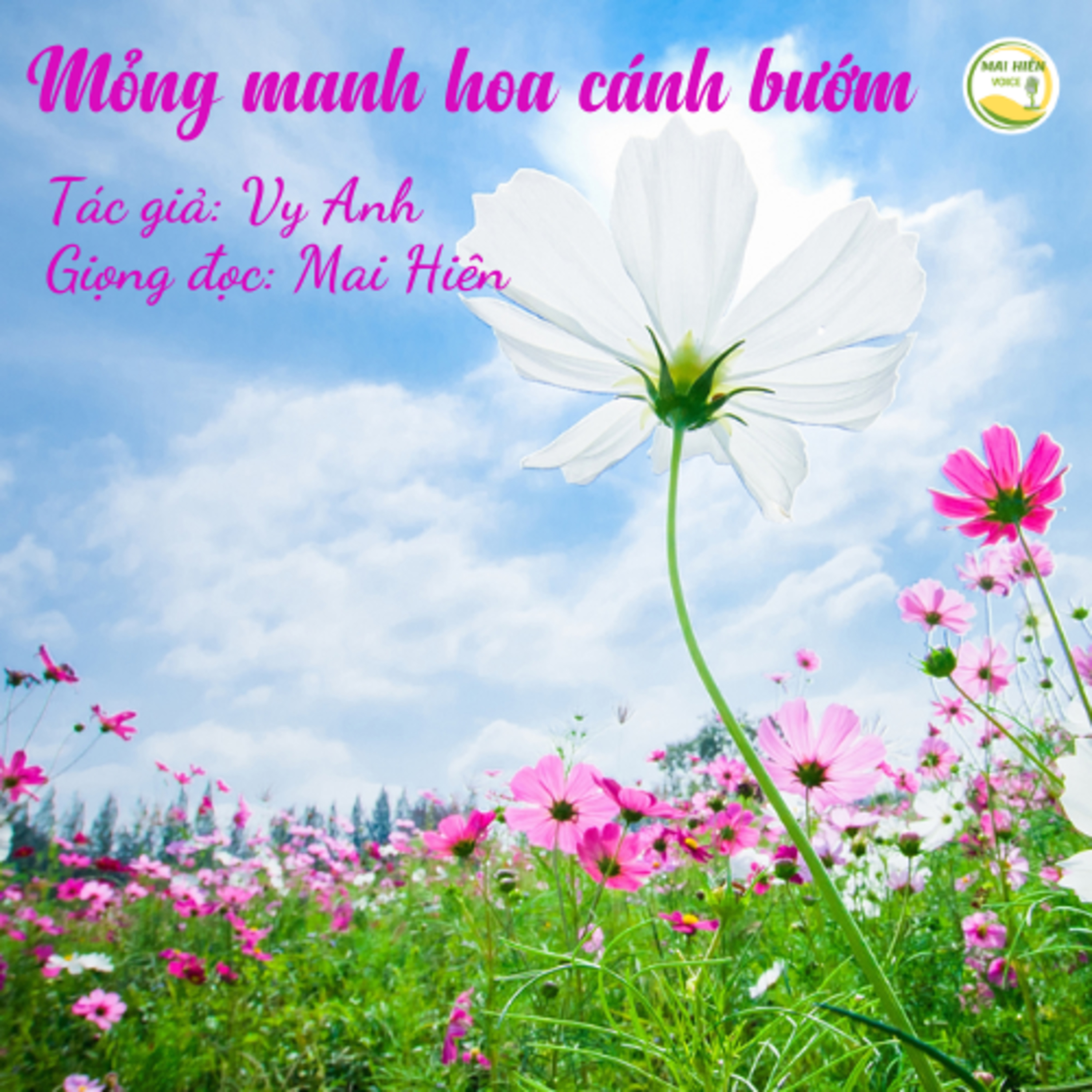 Tản văn hay #77: Mỏng manh hoa cánh bướm - Tác giả: Vy Anh episode artwork