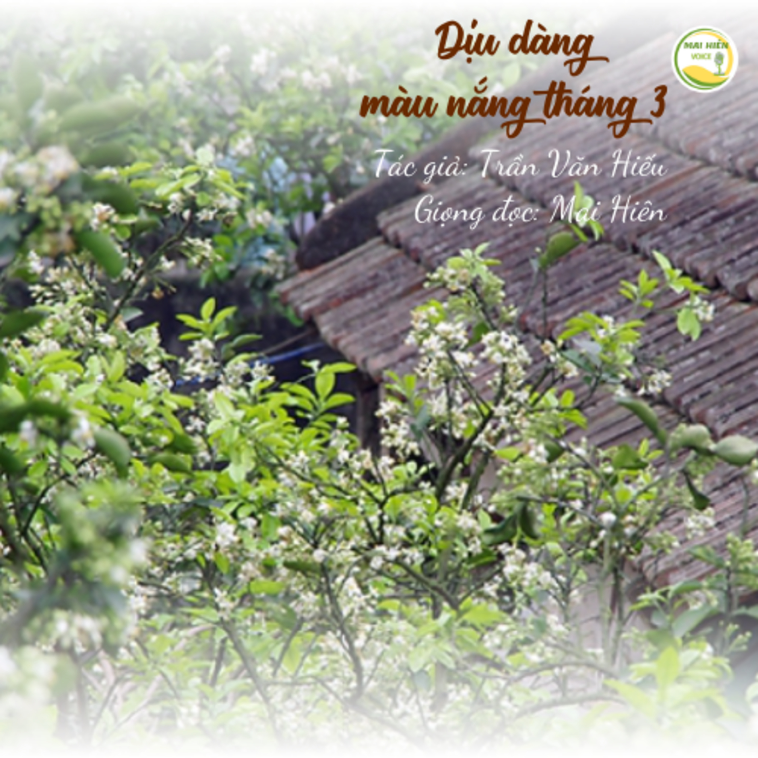 Tản văn hay #83: Dịu dàng màu nắng tháng 3 - Tác giả: Trần Văn Hiếu episode artwork