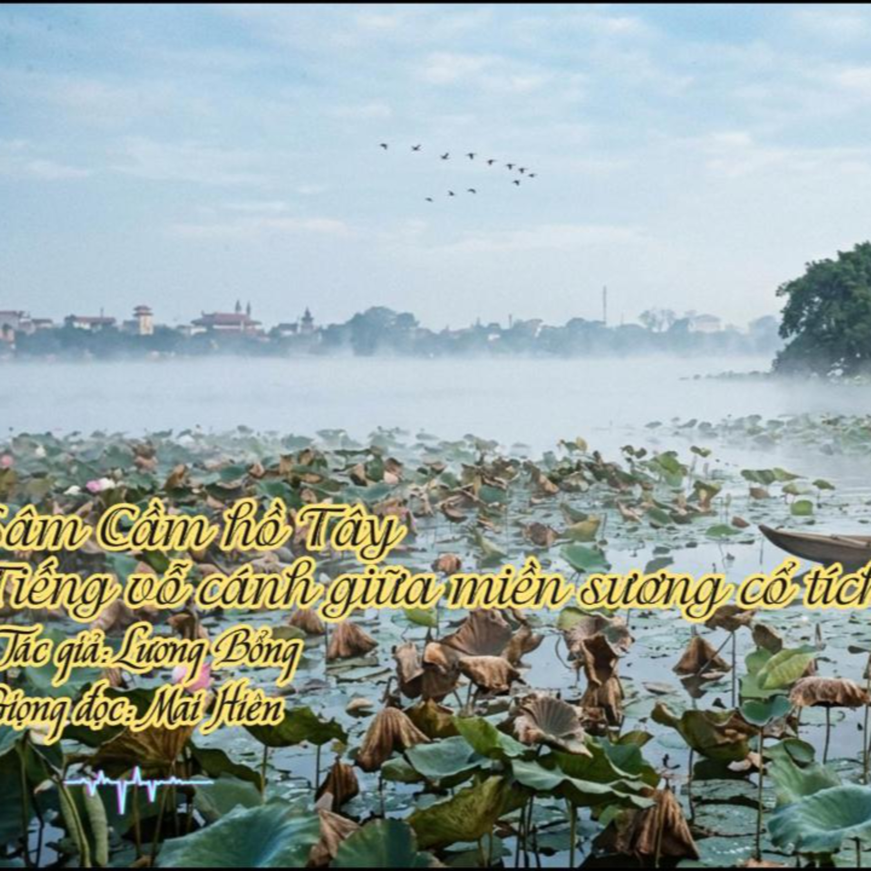 Tản văn hay #95: Sâm Cầm hồ Tây, tiếng vỗ cánh giữa miền sương cổ tích - Tác giả: Lương Bổng episode artwork