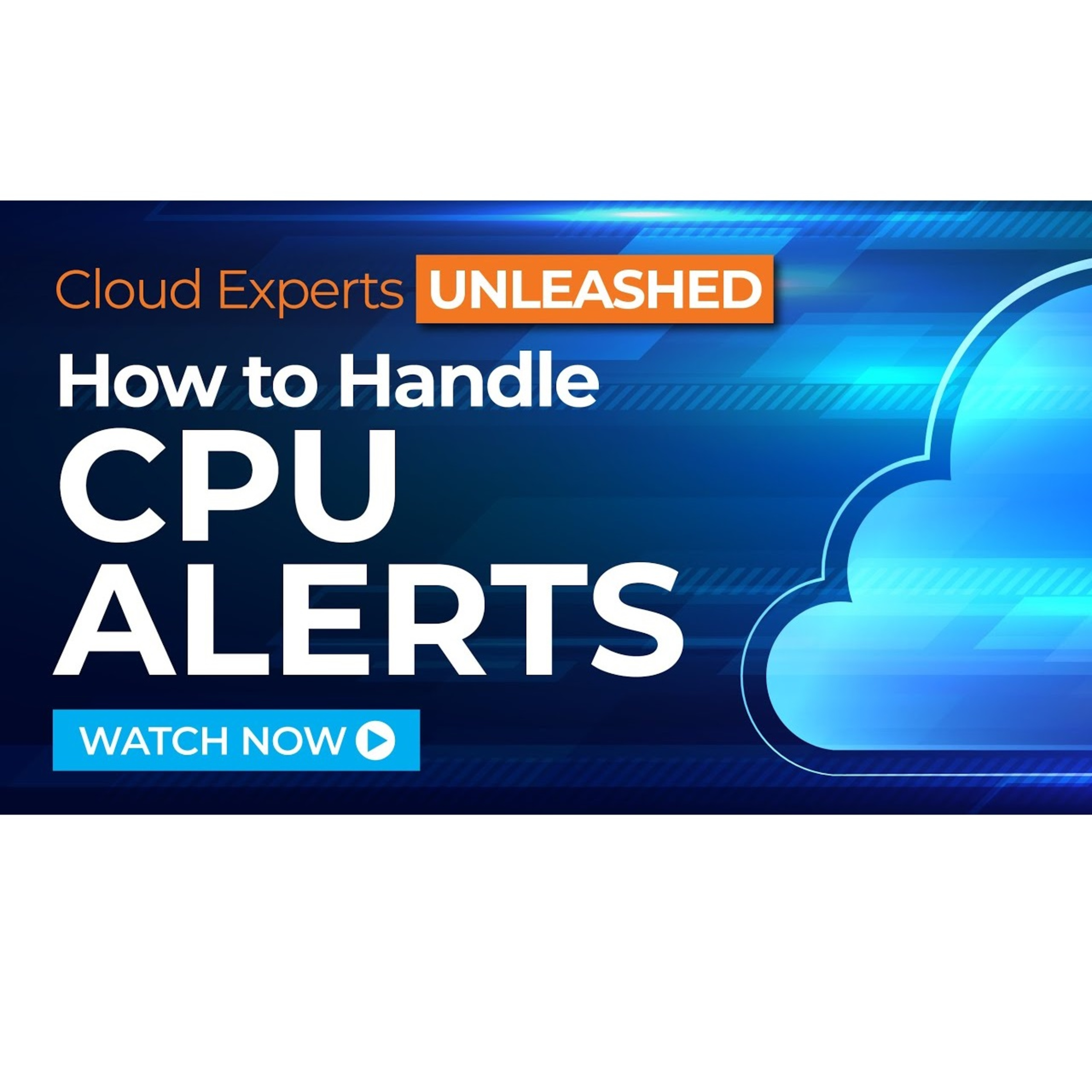 Cloud Experts Unleashed