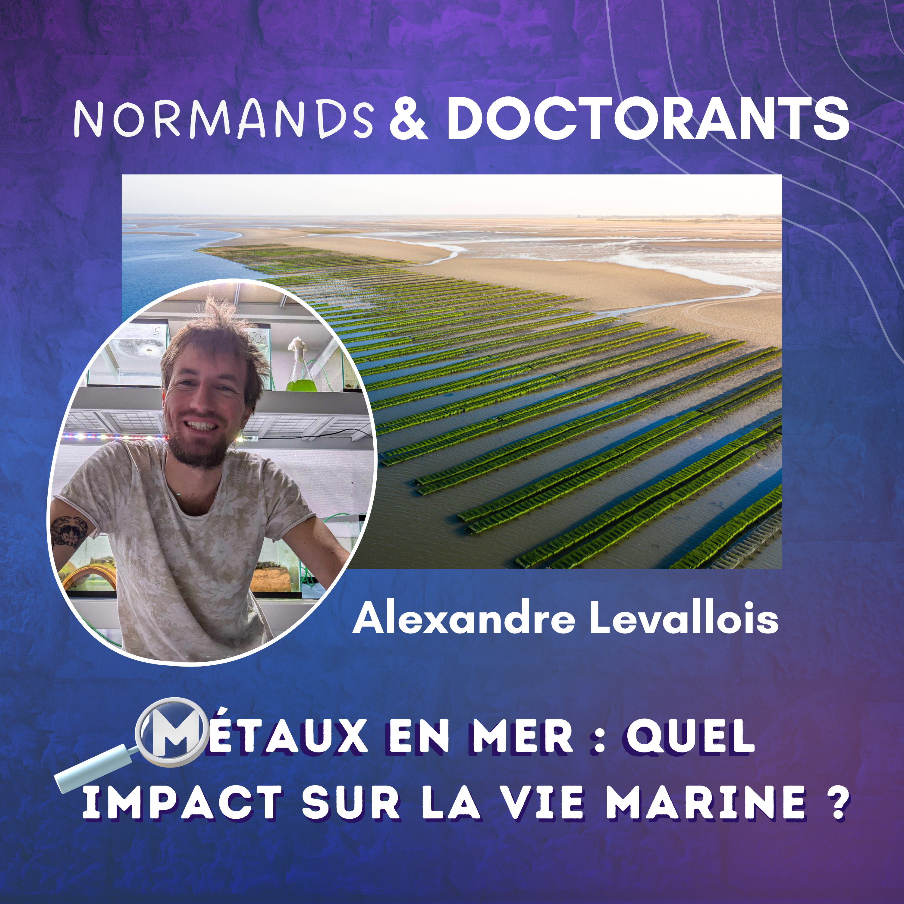 #8 - Métaux en mer : Quel impact sur la vie marine ? - Avec Alexandre Levallois episode artwork