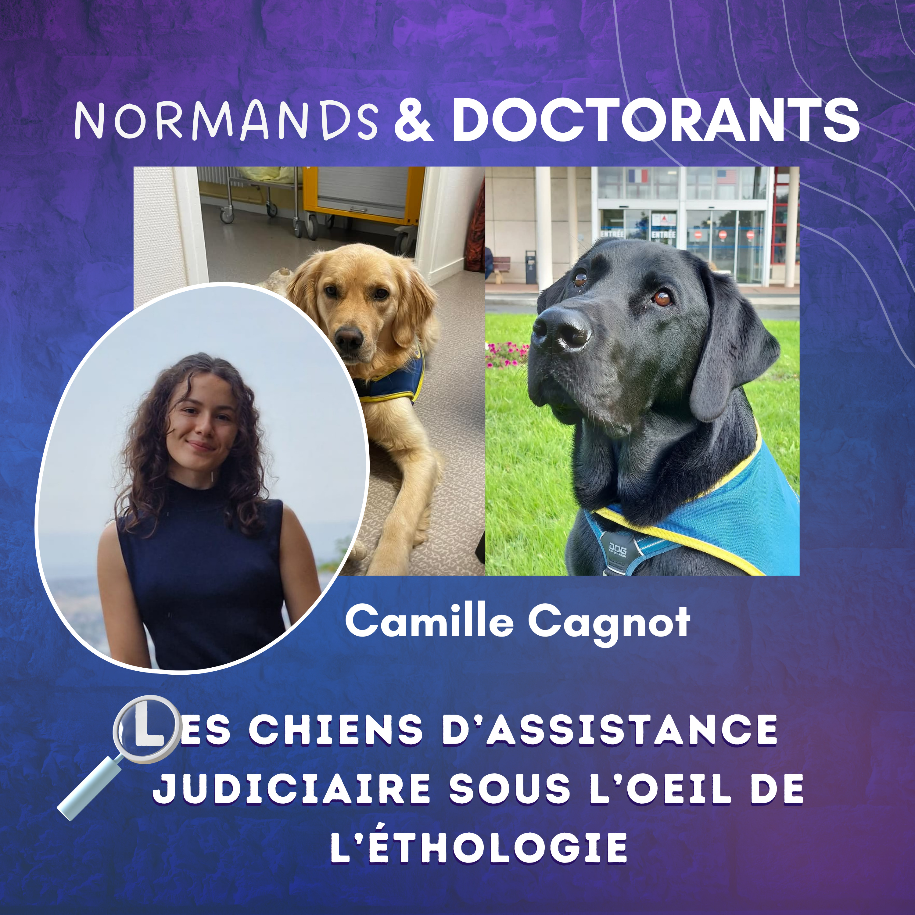 #13 – Les chiens d’assistance judiciaire sous l’œil de l’éthologie – Avec Camille Cagnot episode artwork