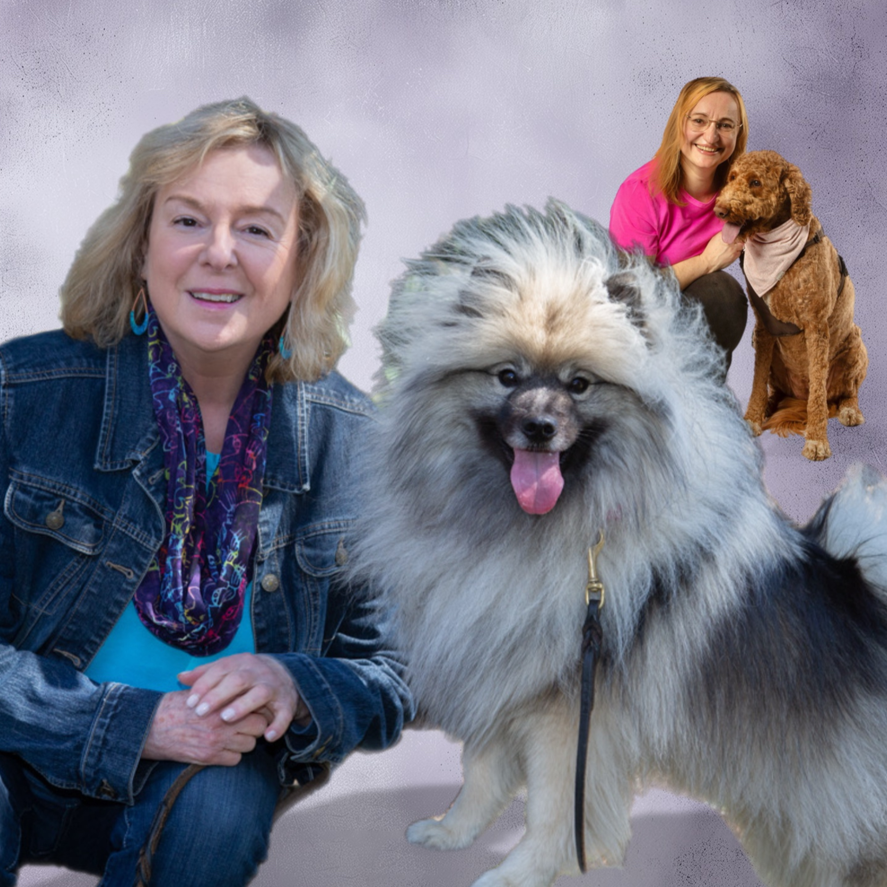 Get Inspired with Dr. Barb