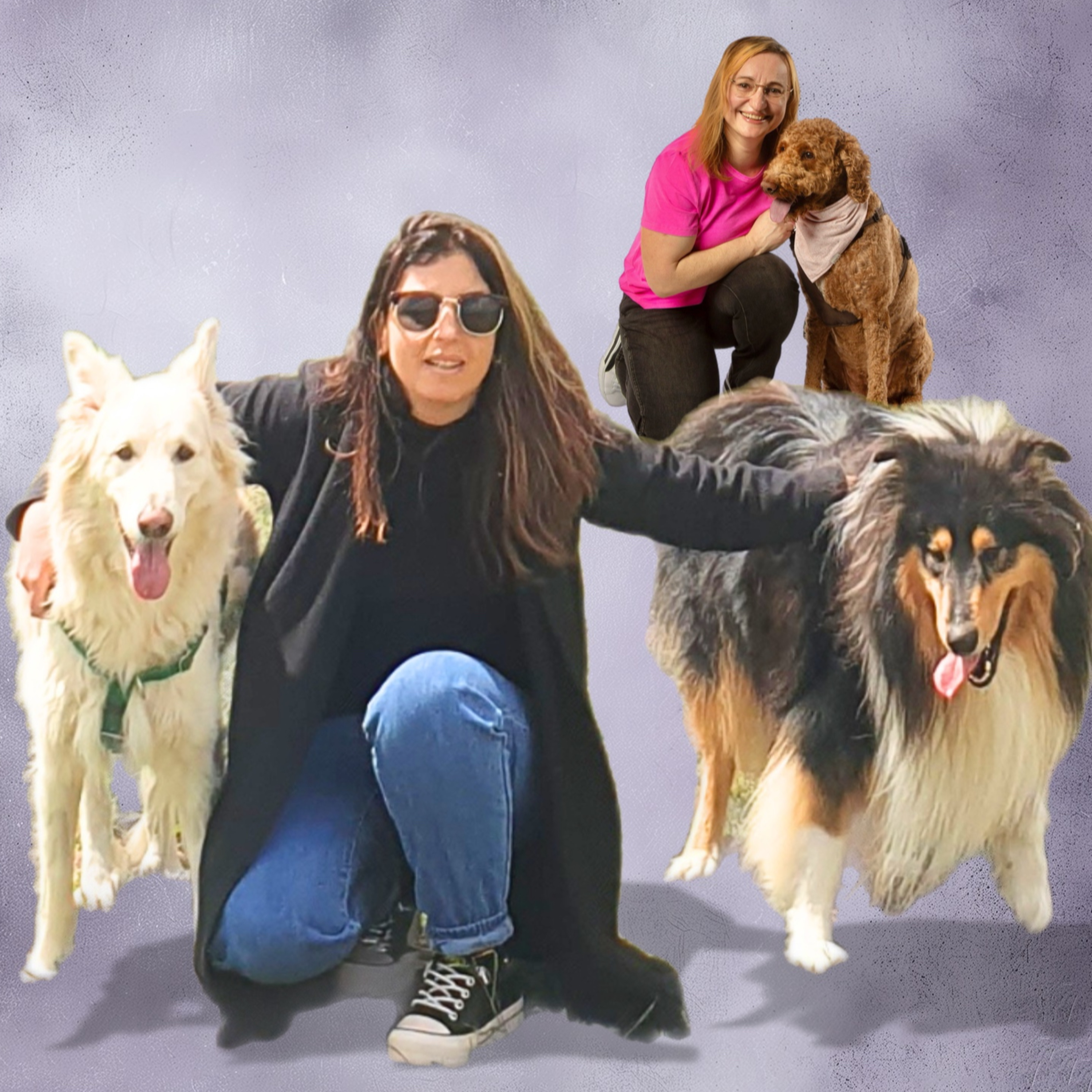 You Can Teach Anything with Dogs