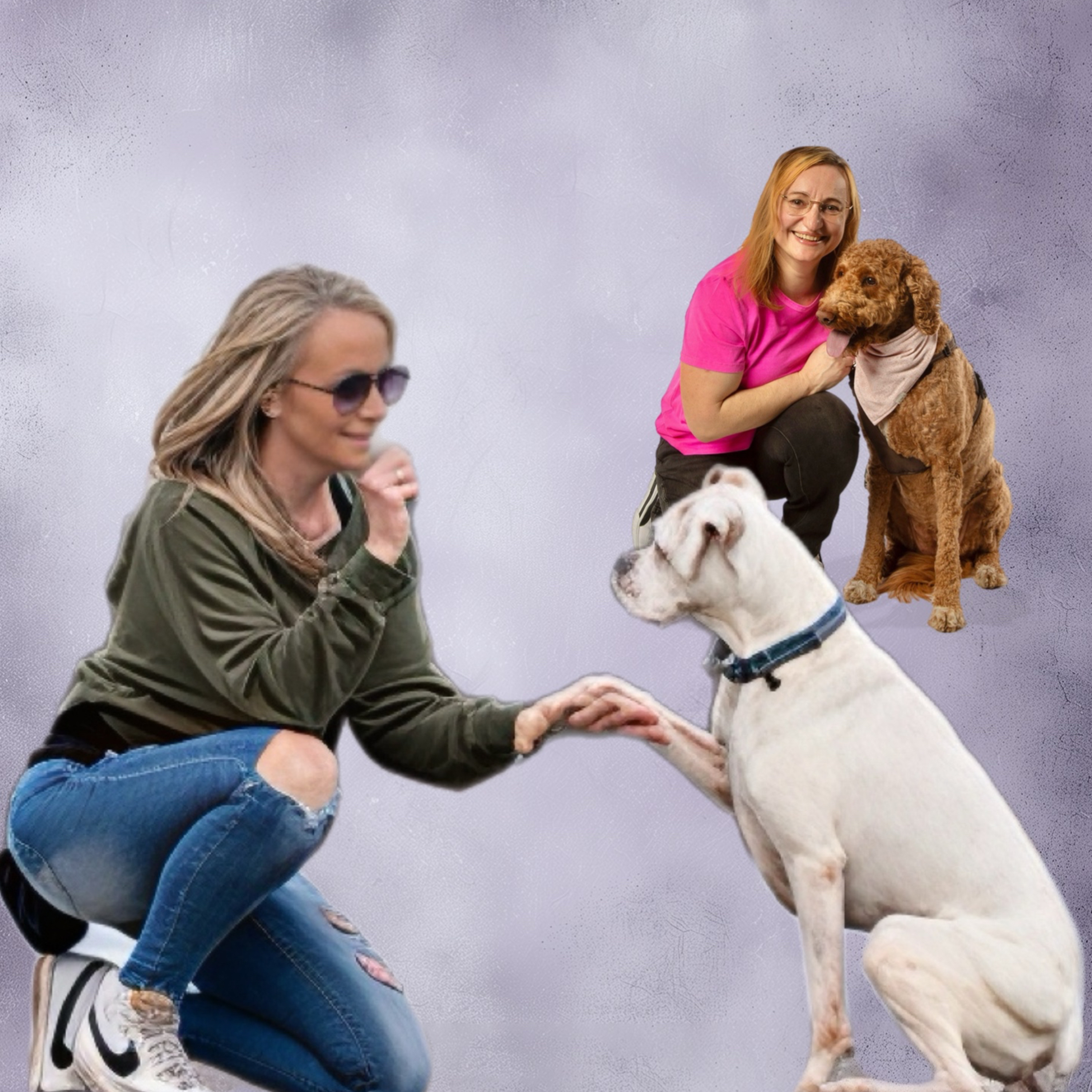 Get Inspired with Dr. Barb
