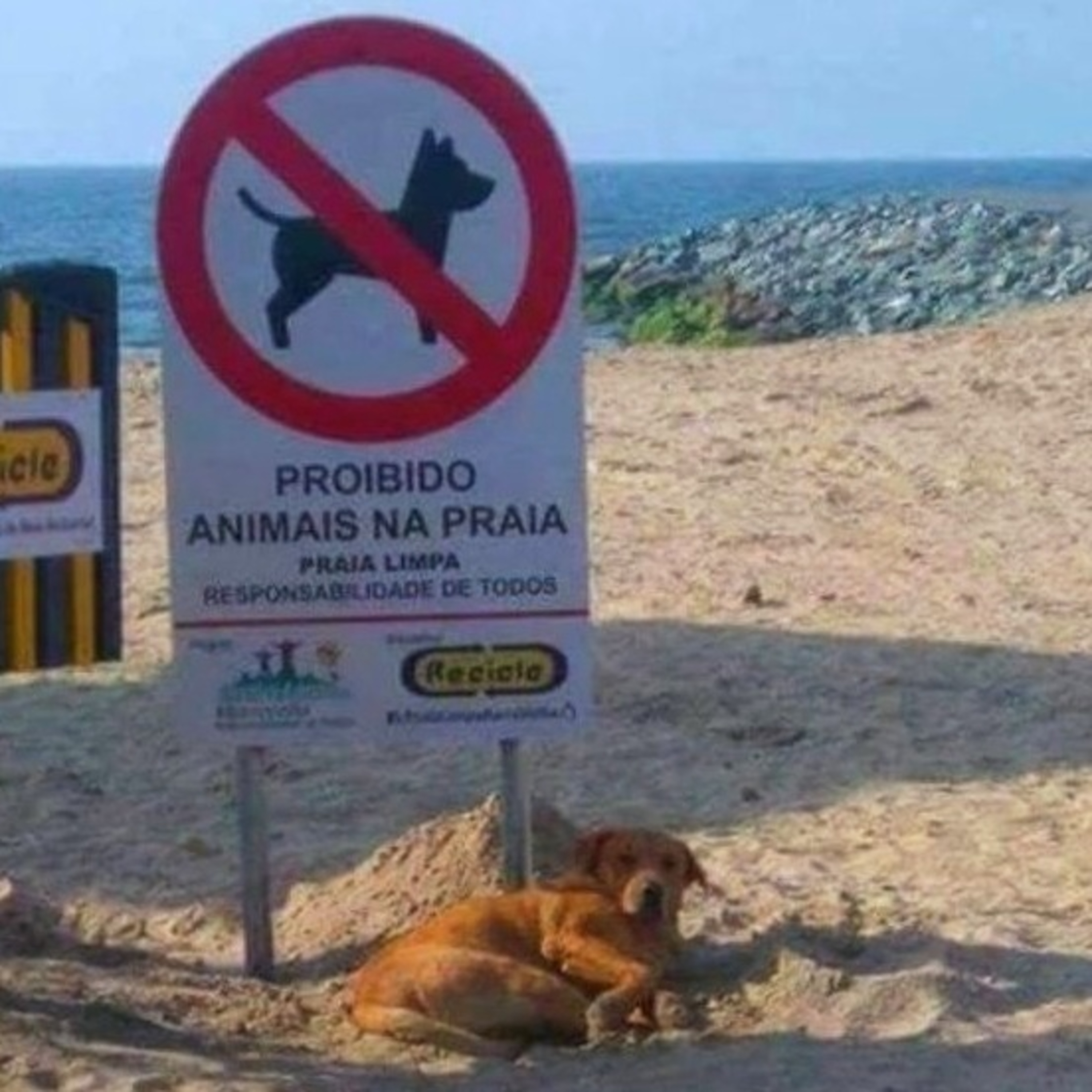 Só acaba quando termina - Episódio 86